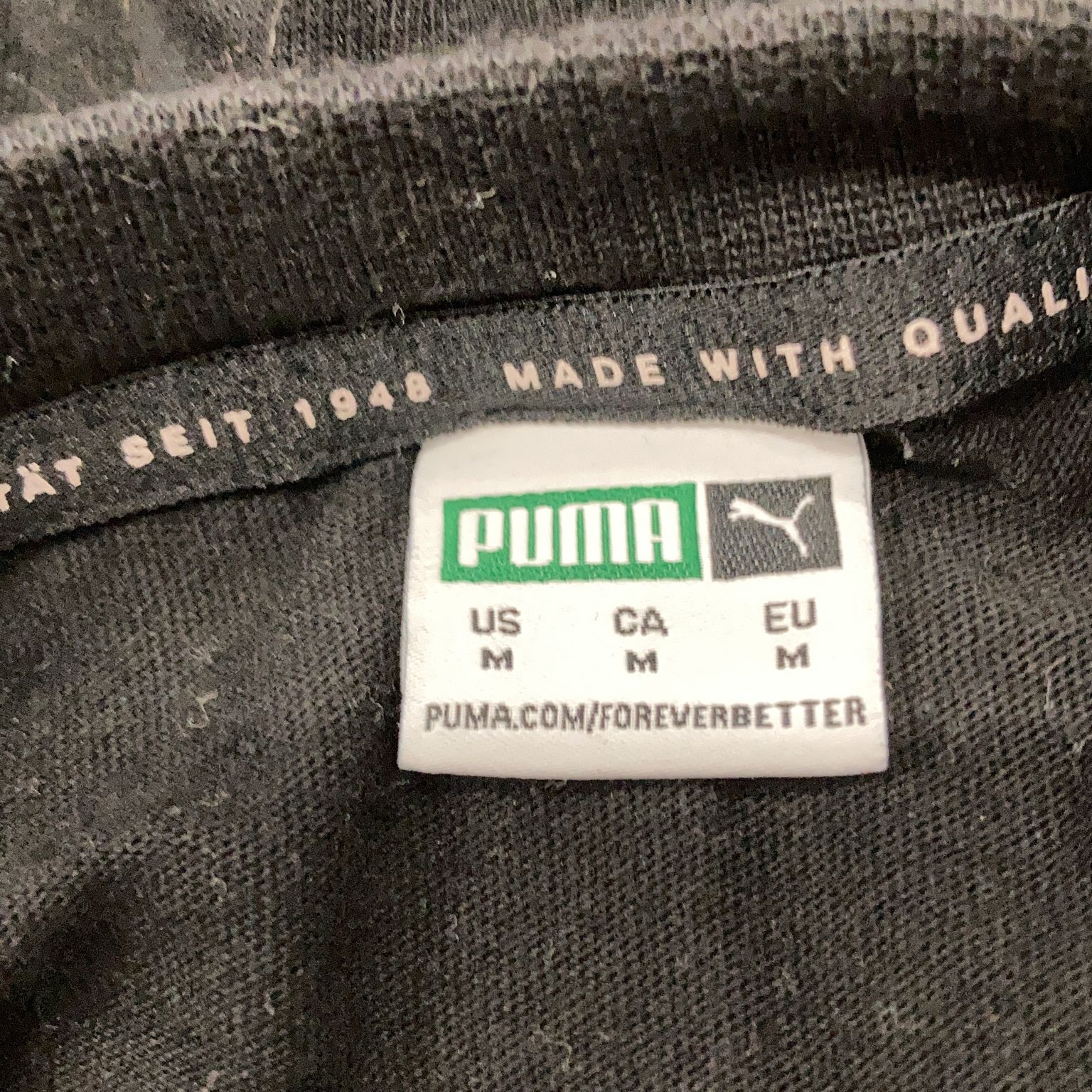 Puma