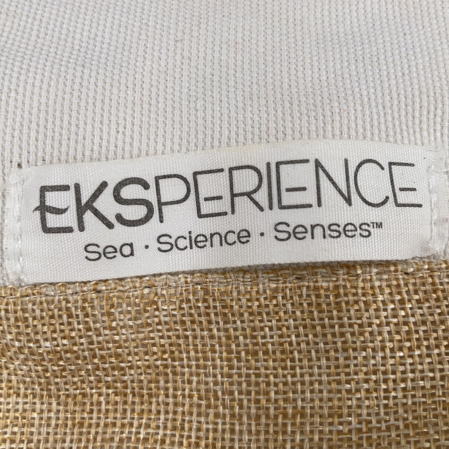 Experience