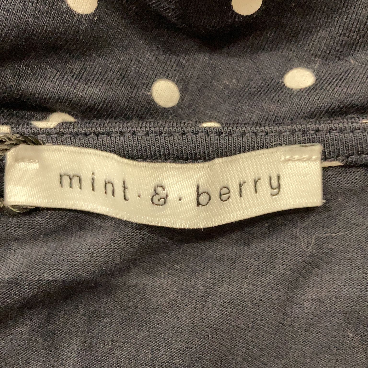 Mint  Berry