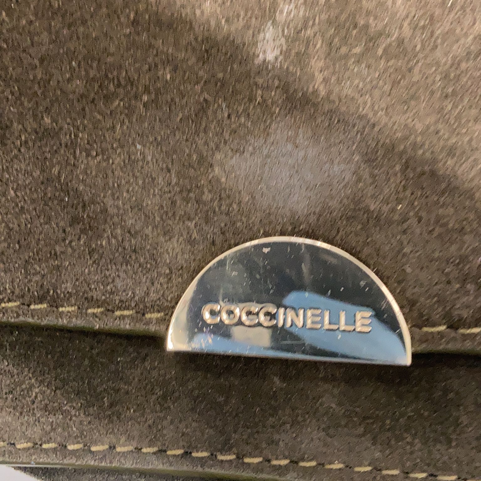 Coccinelle