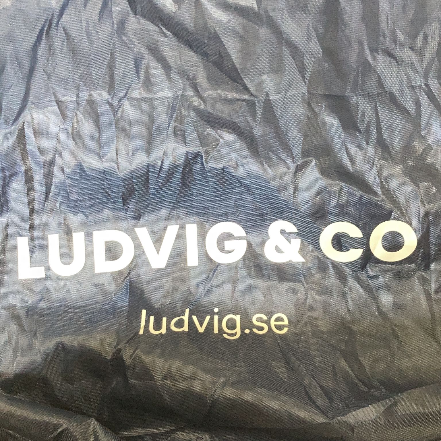 Ludvig  Co