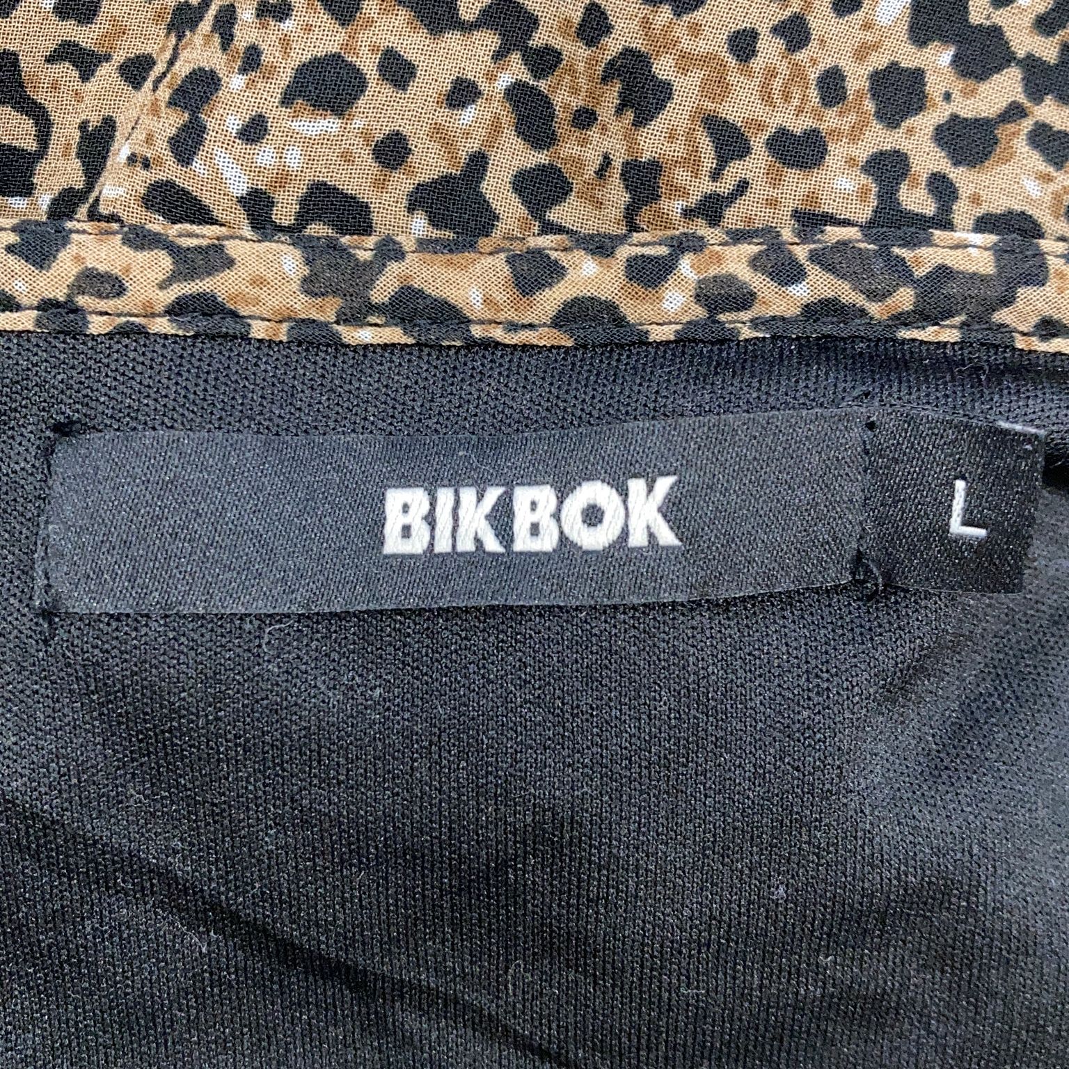 Bik Bok