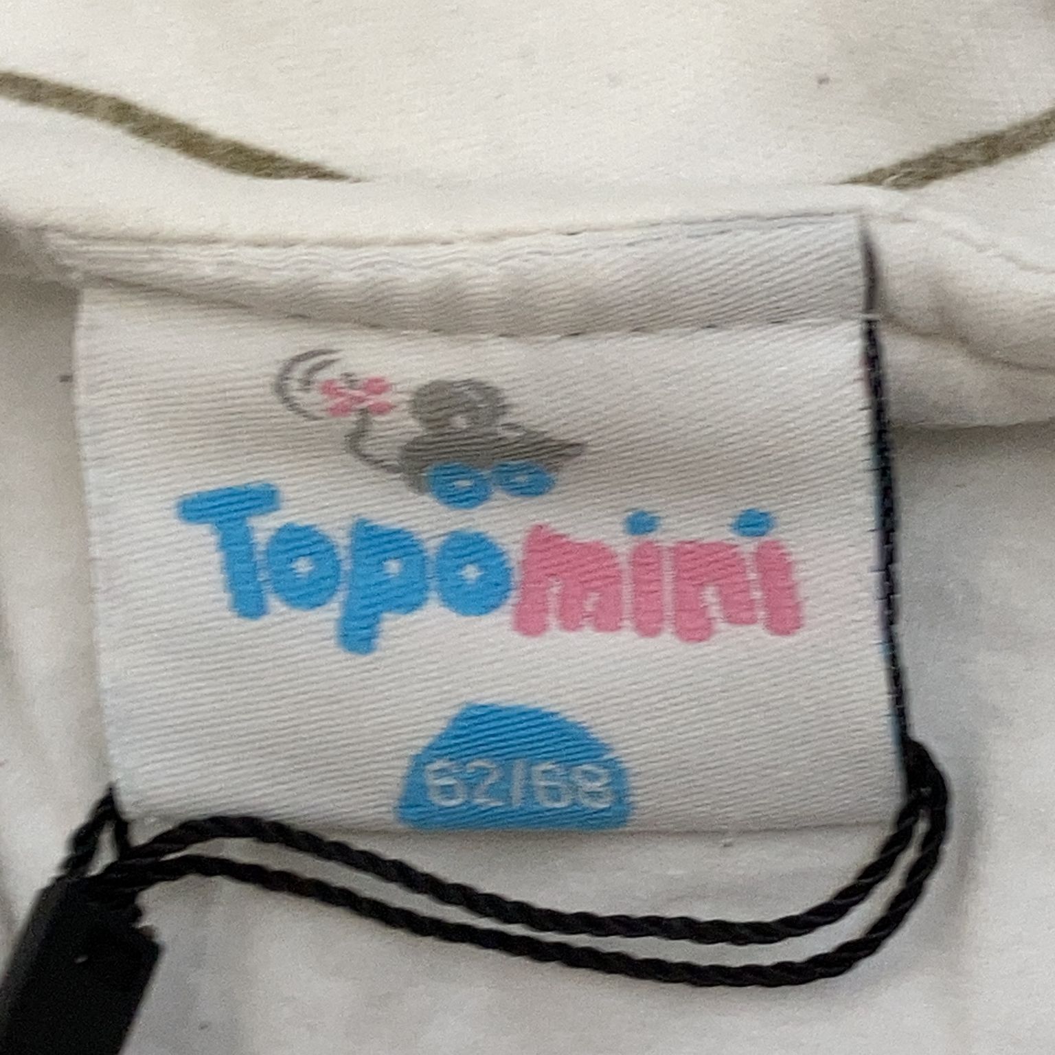 Topomini