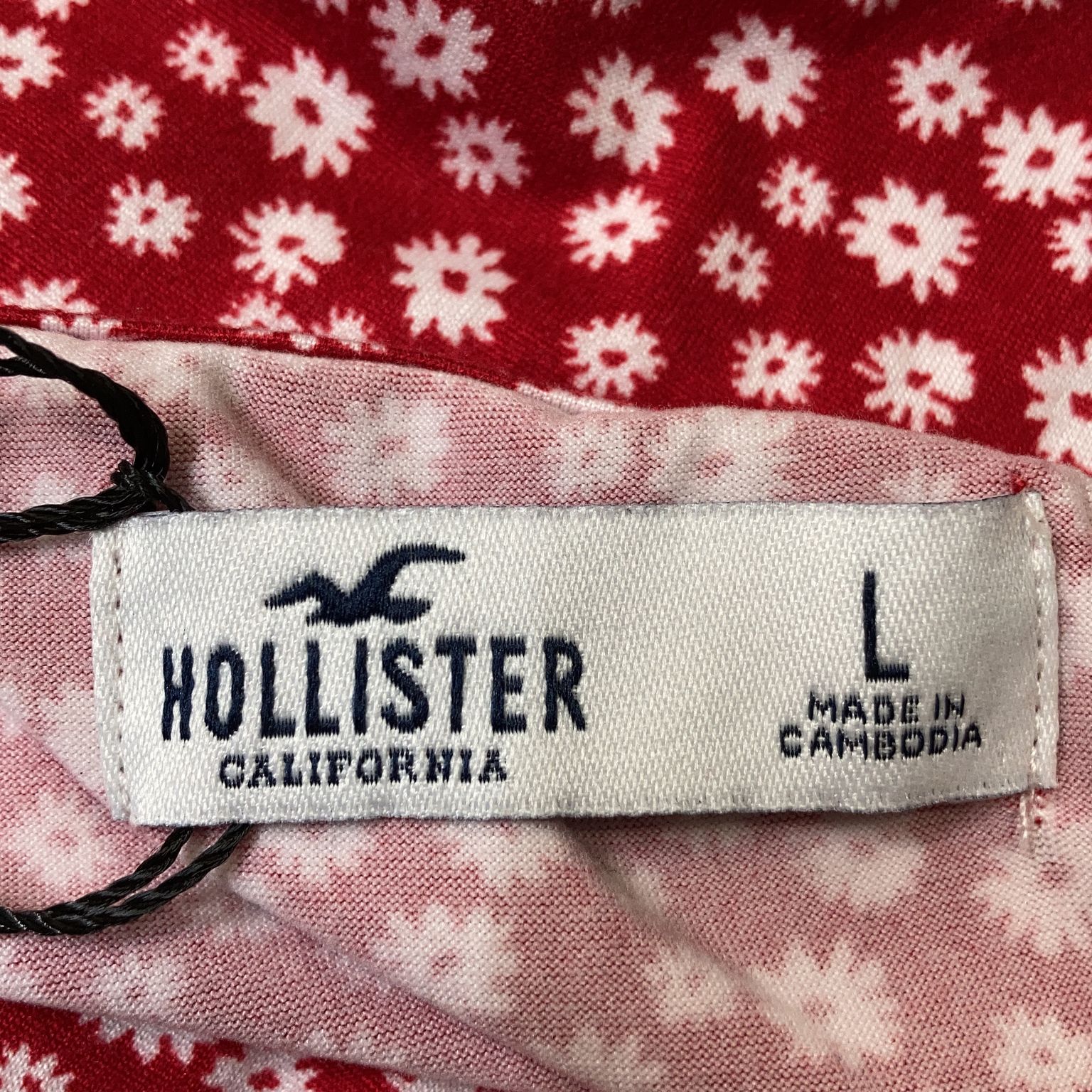 Hollister California