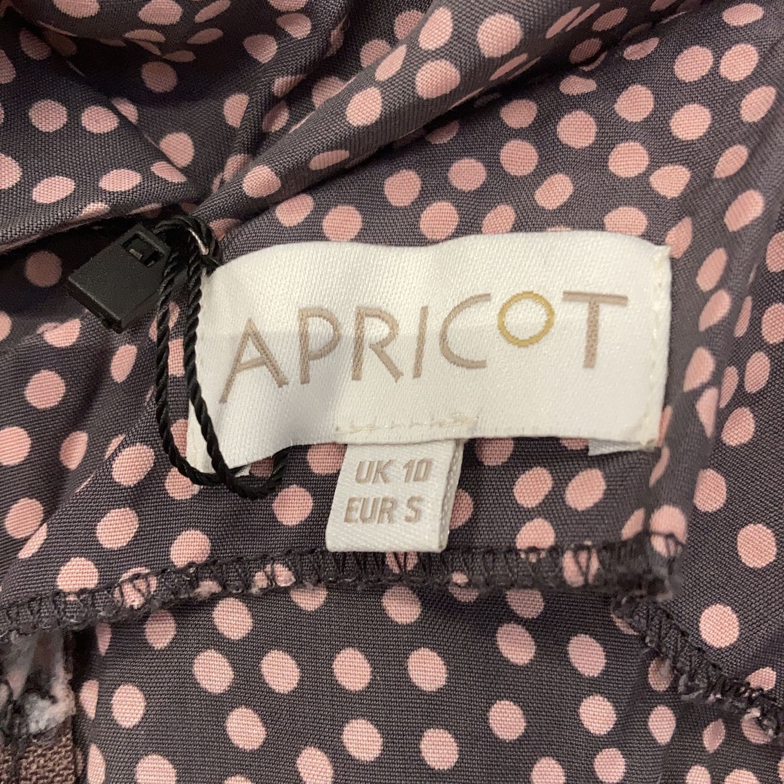 Apricot