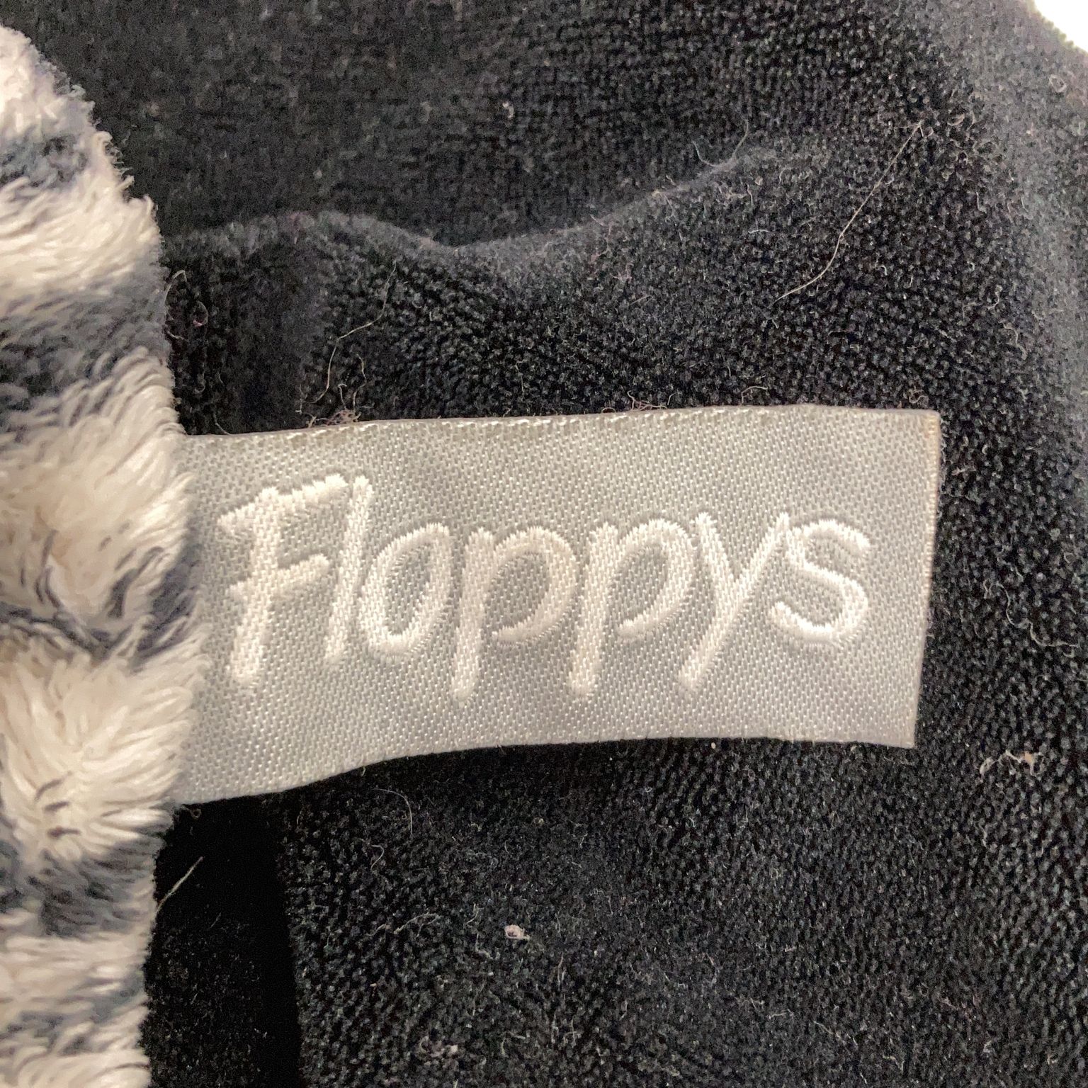 Floppys