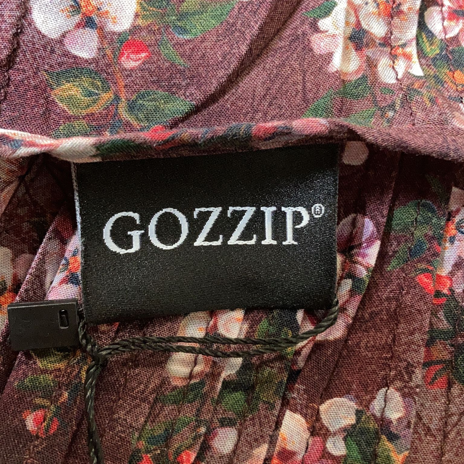 Gozzip