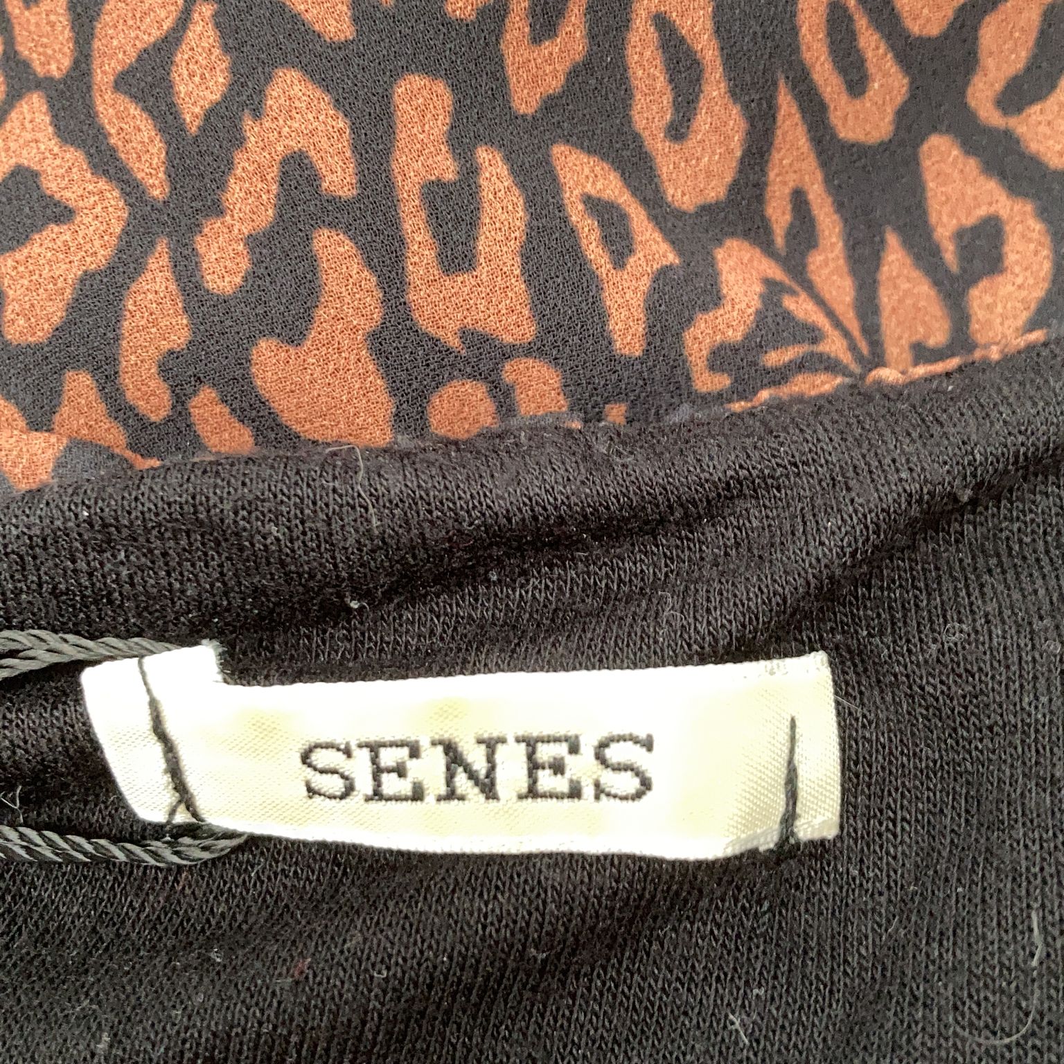 Senes