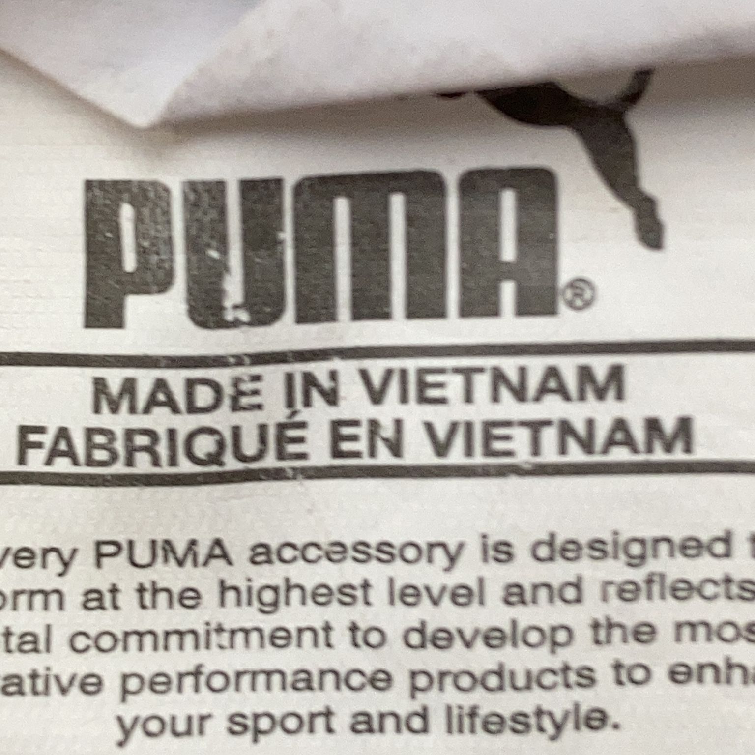 Puma