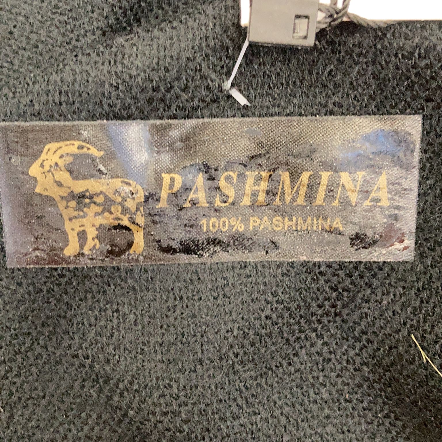 Pashmina