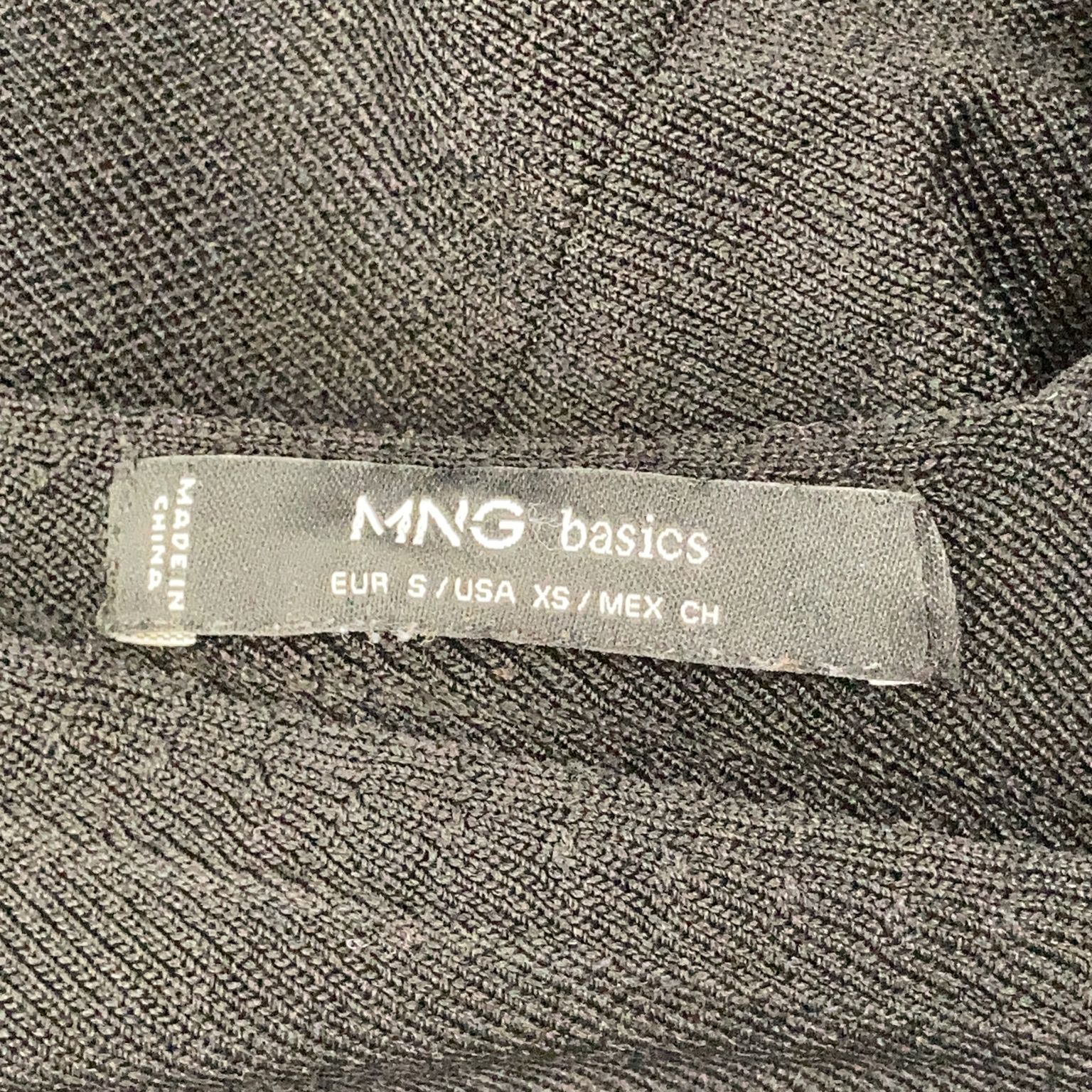 Mango Basics