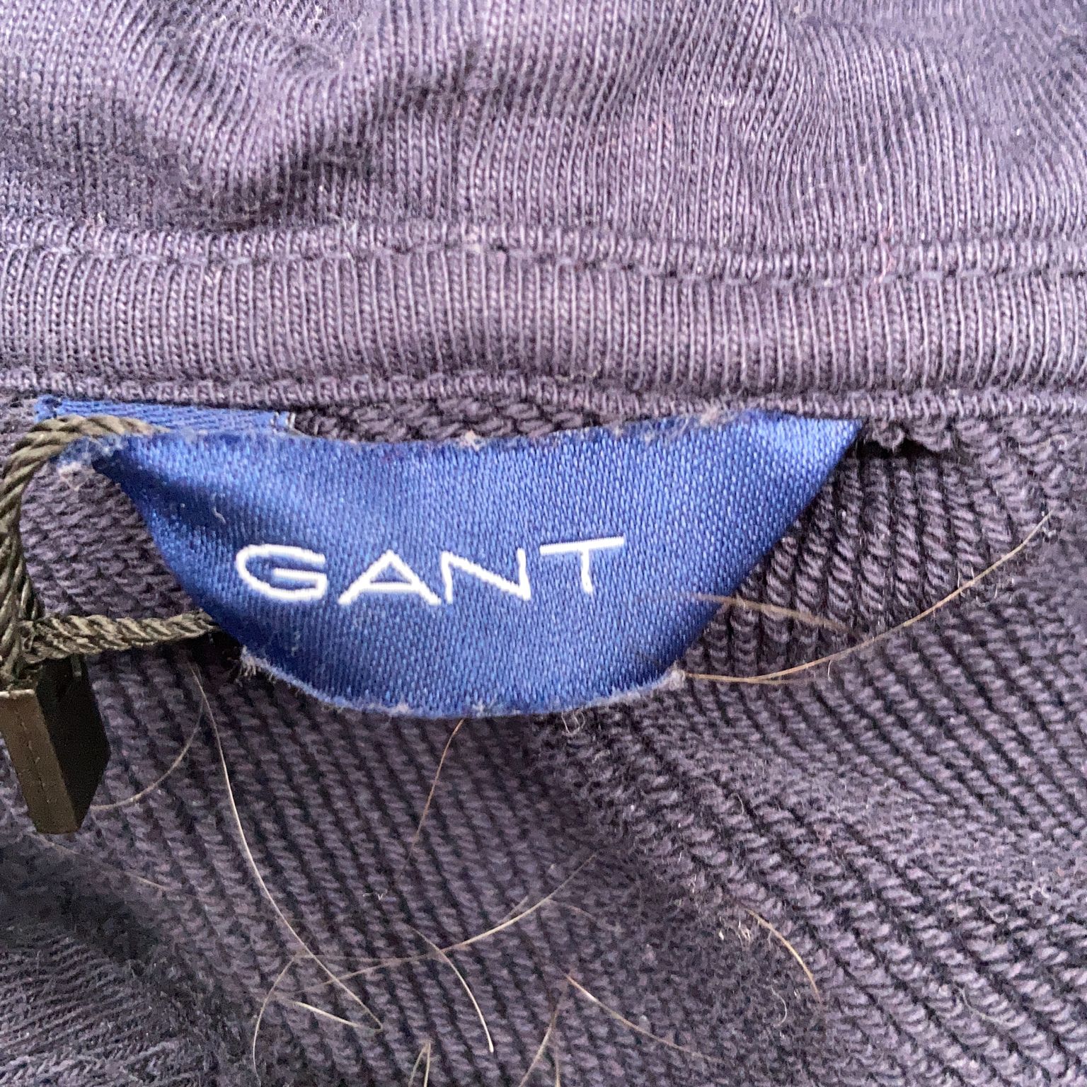 GANT