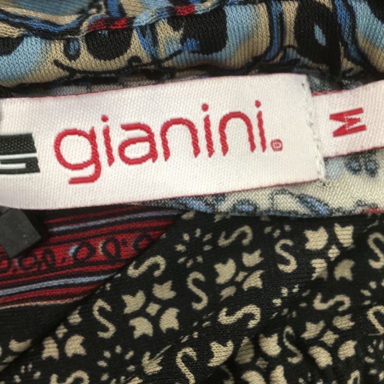 Gianini