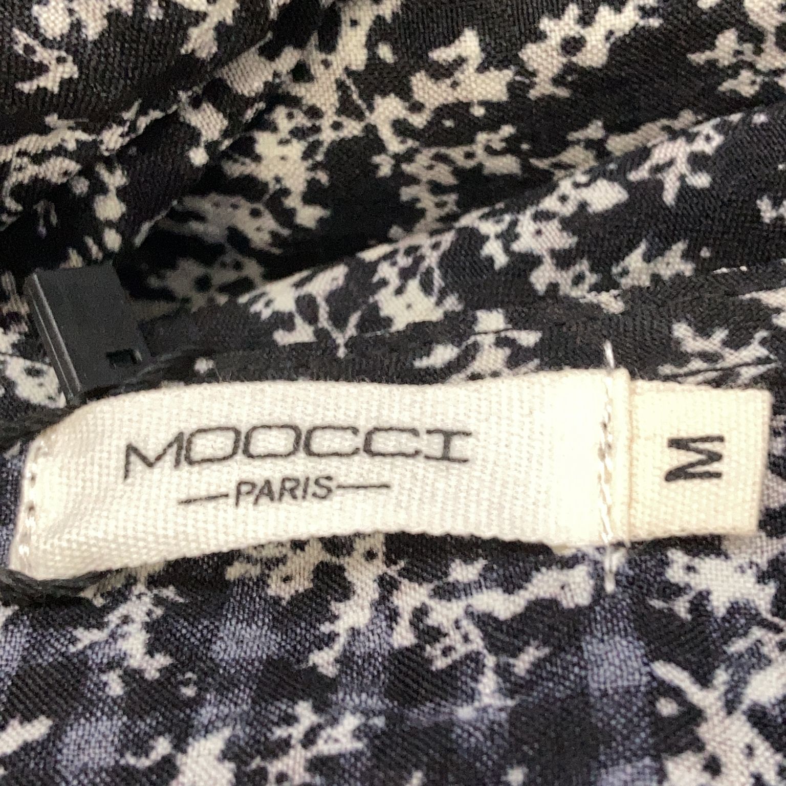 Moocci