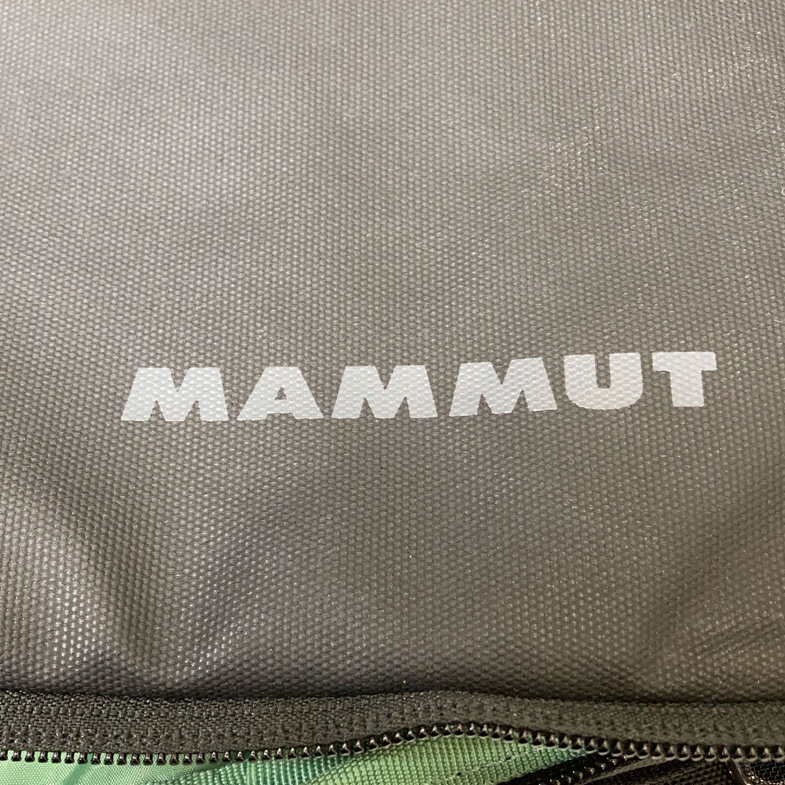 Mammut