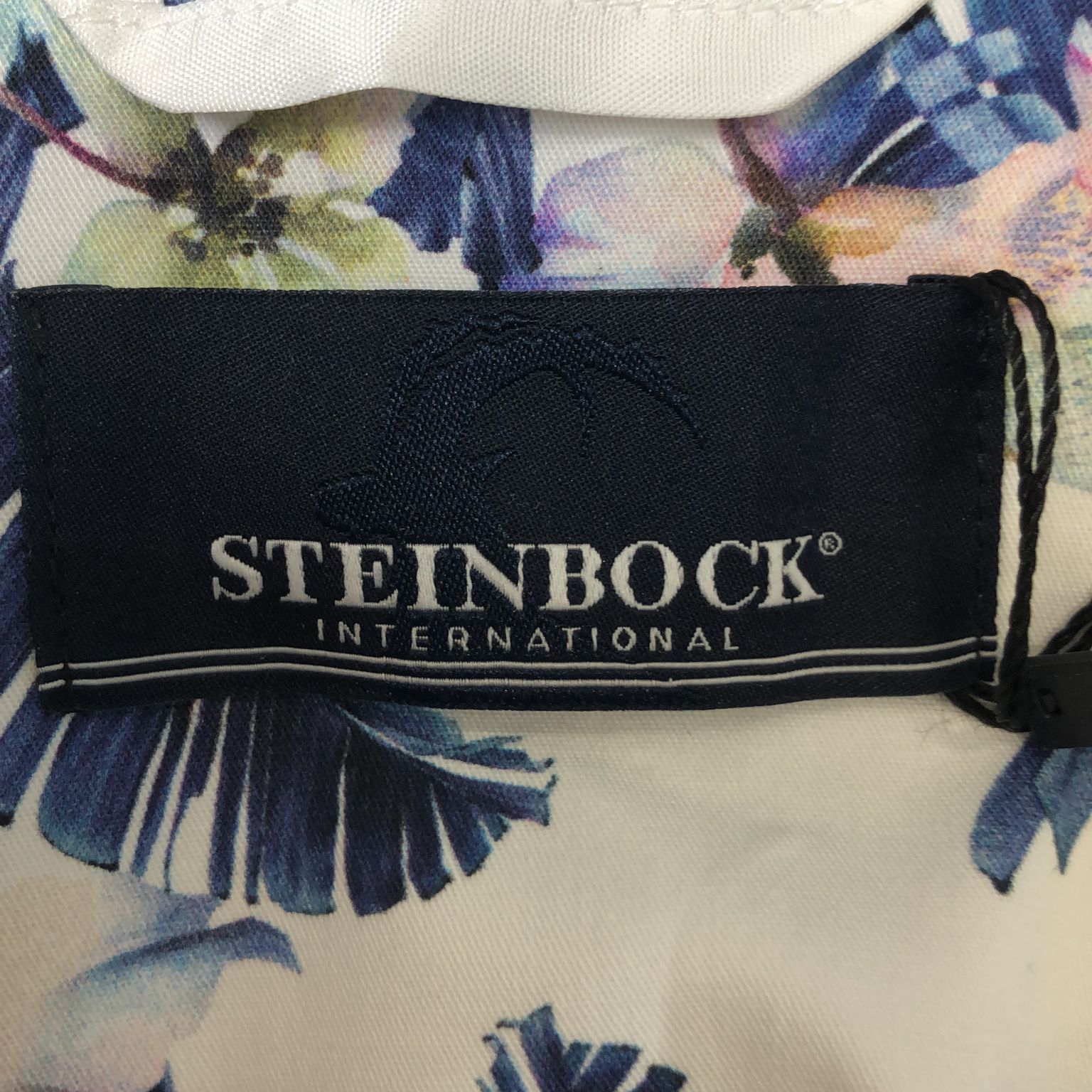 Steinbock