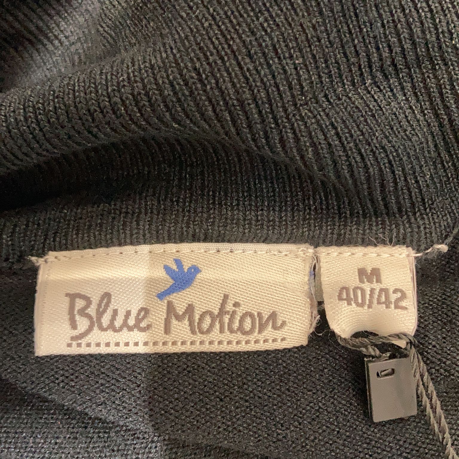 Blue Motion