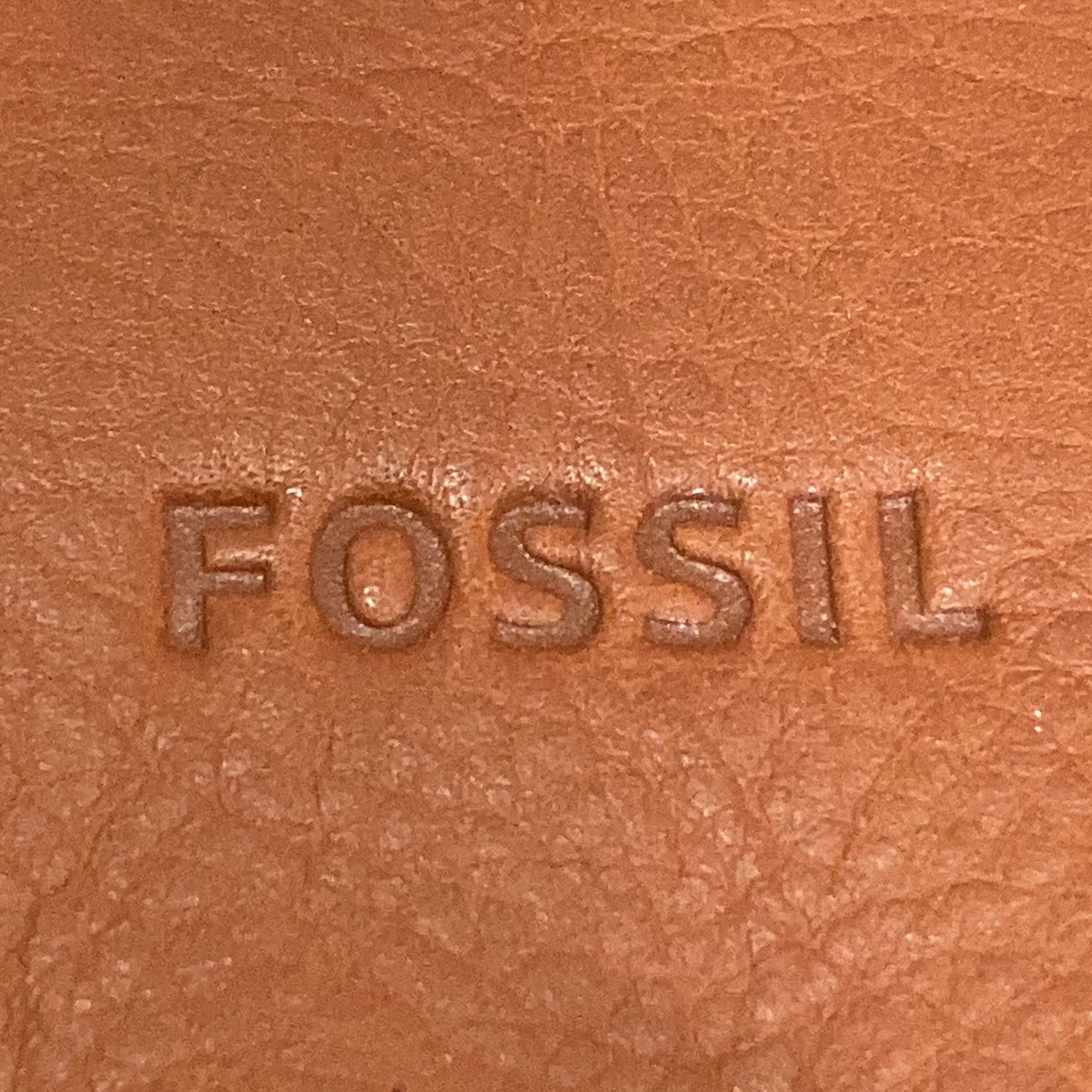 Fossil