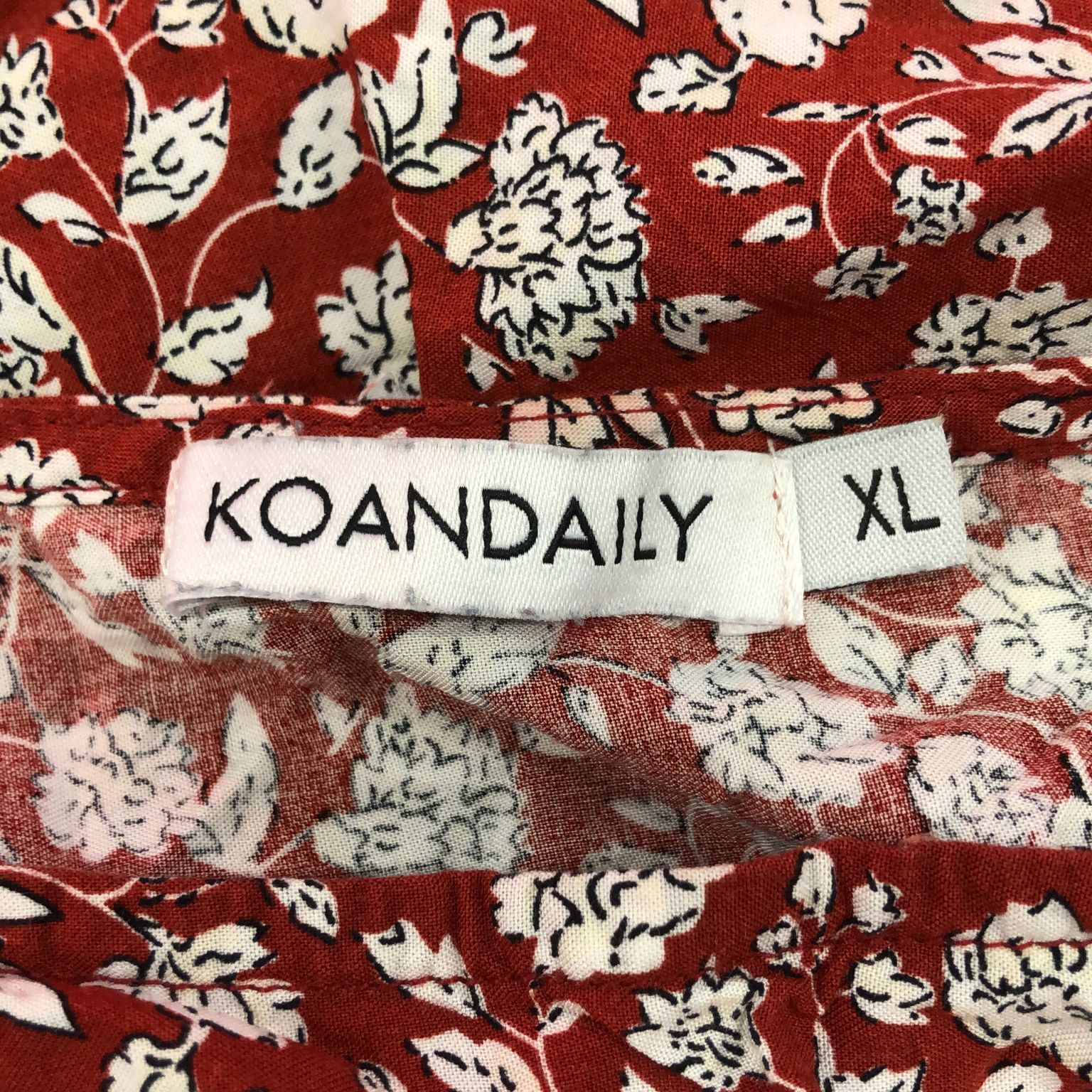 Koandaily