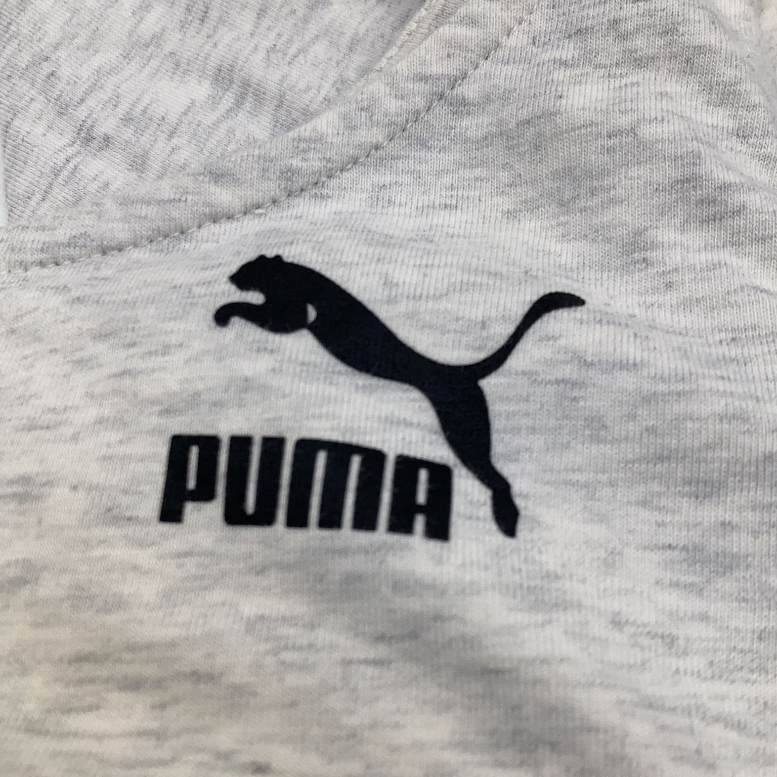 Puma