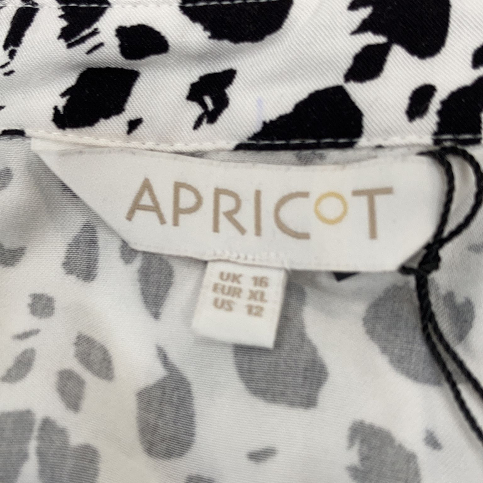 Apricot