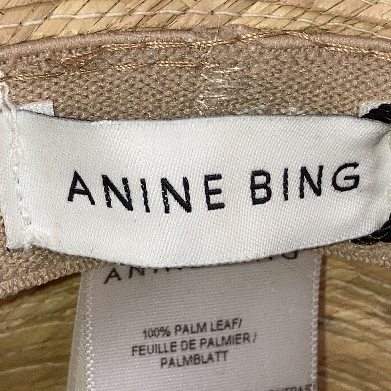 Anine Bing