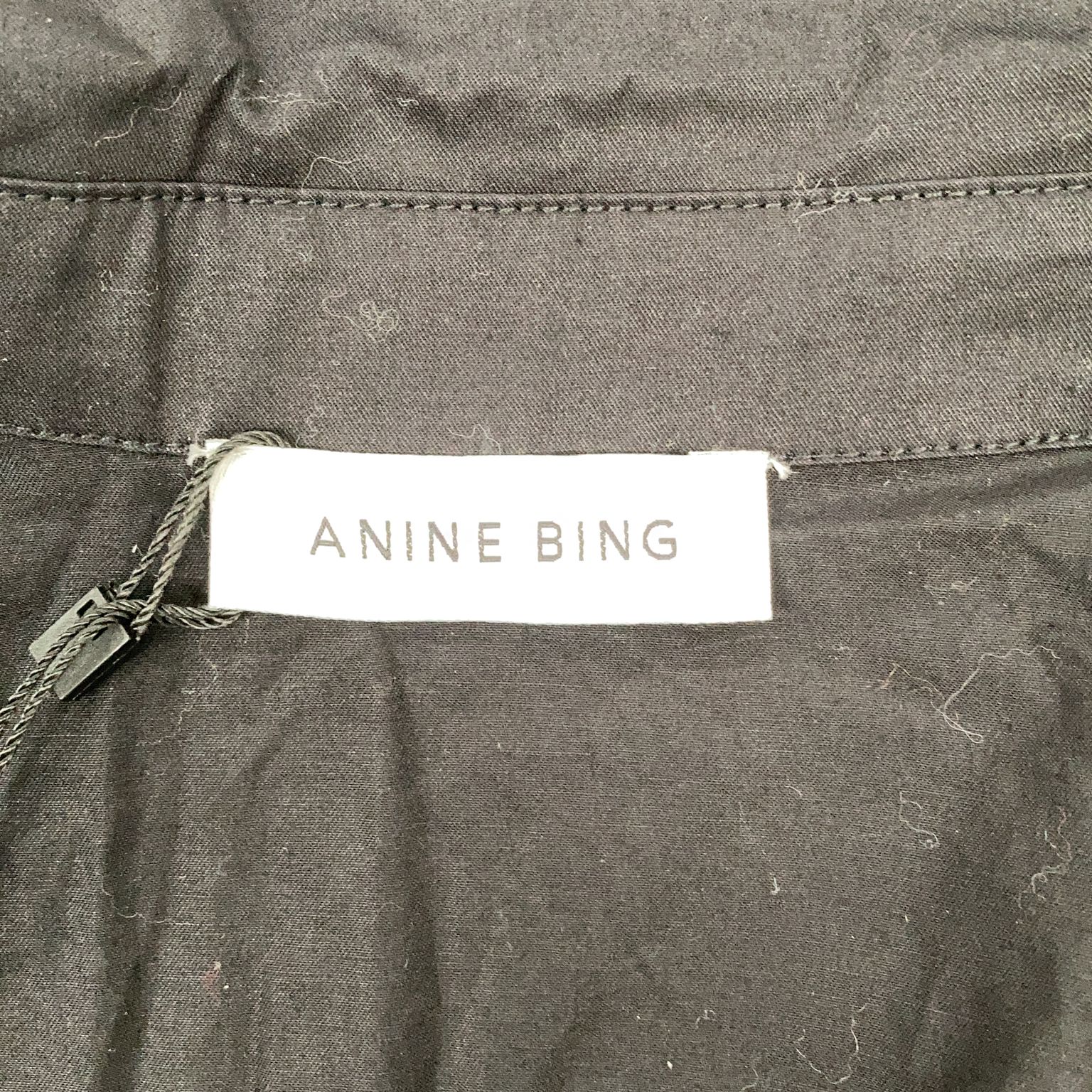 Anine Bing