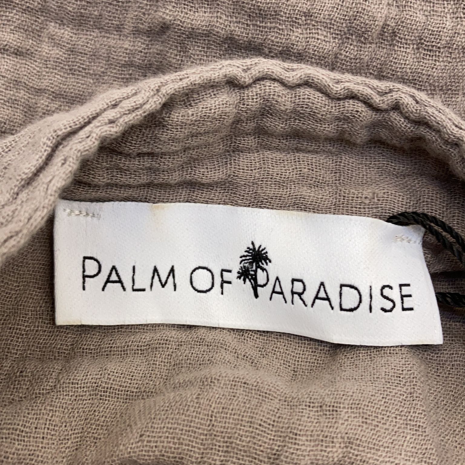 Palm of Paradise