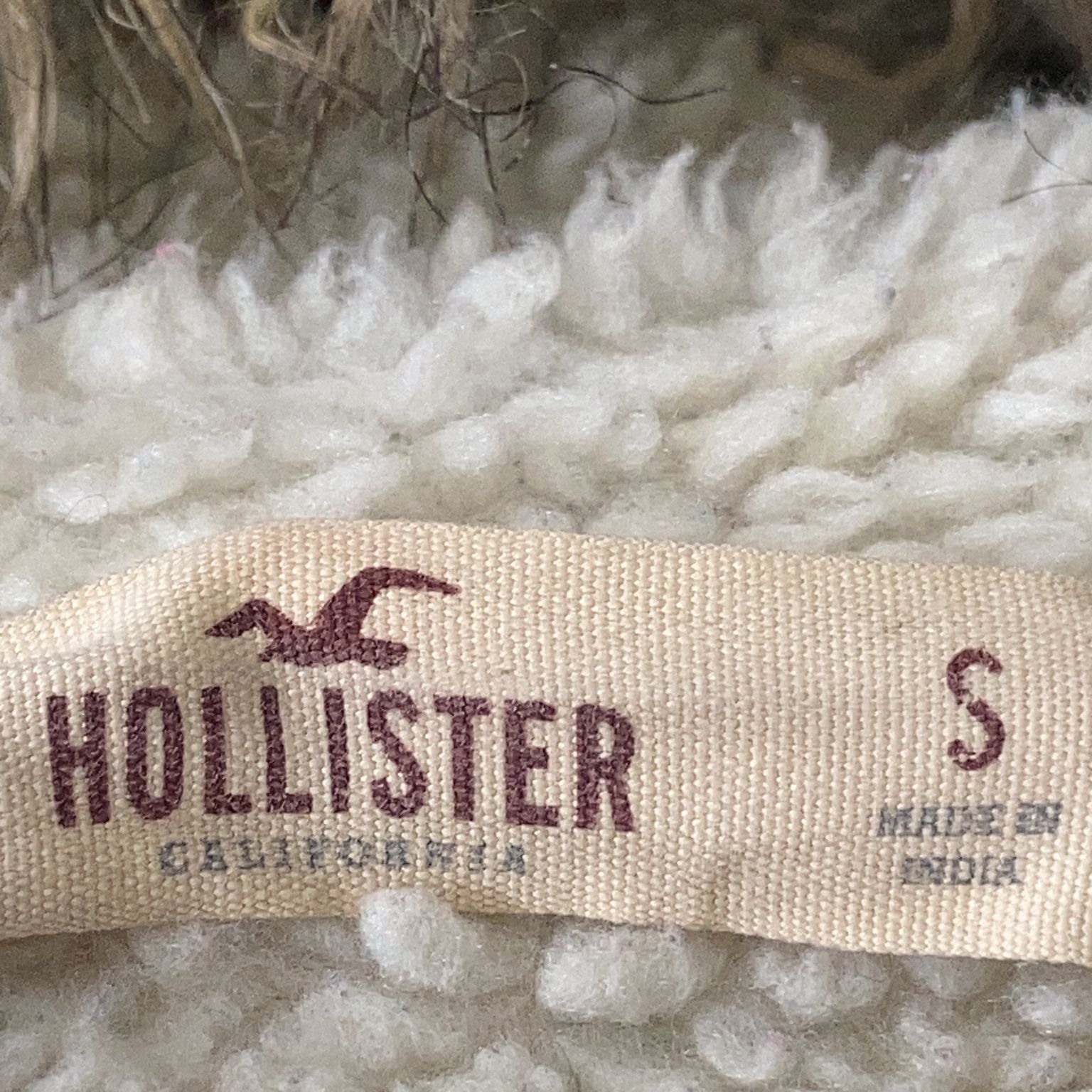 Hollister