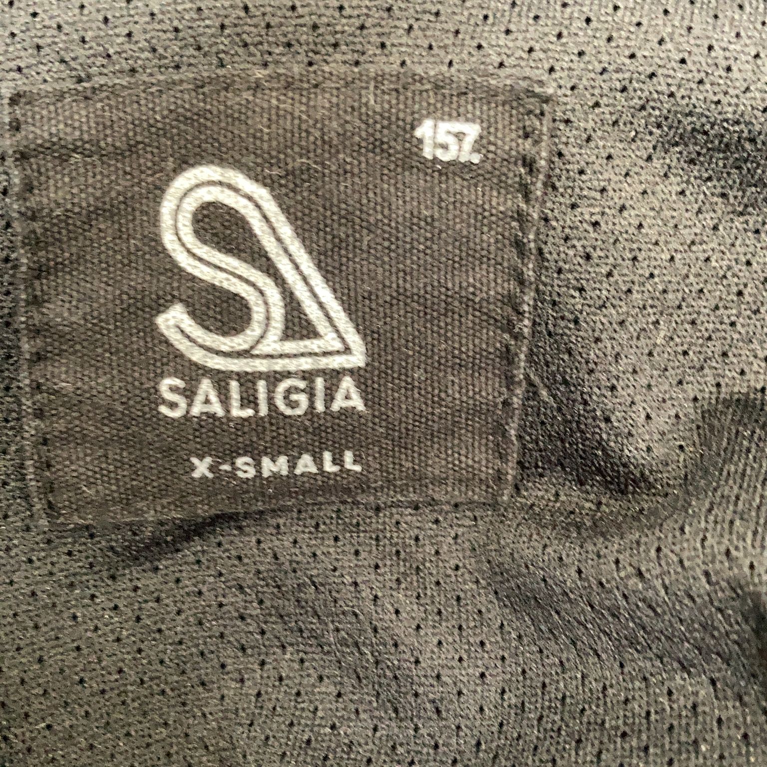 Saligia