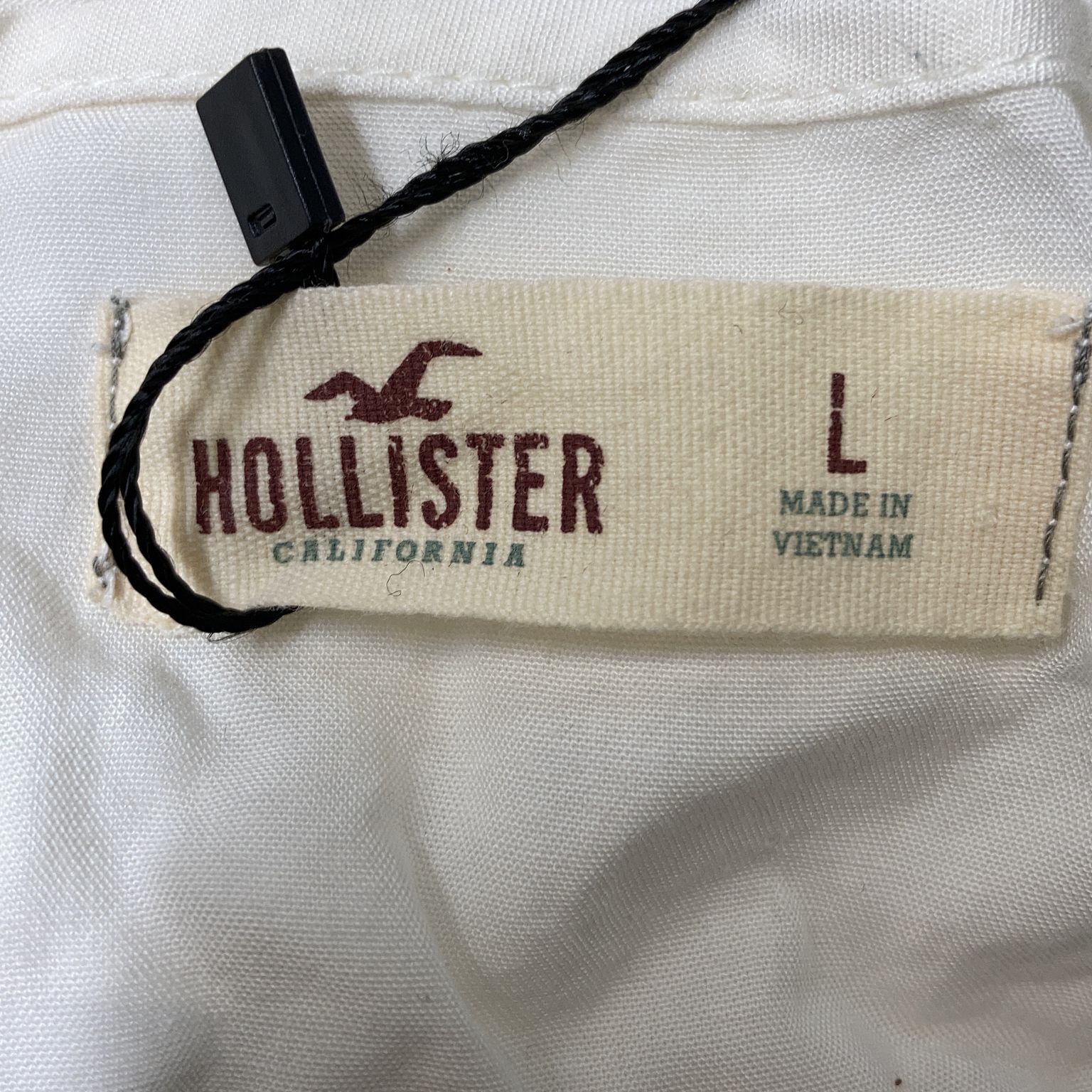 Hollister