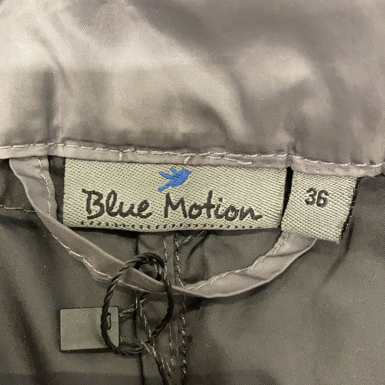 Blue Motion