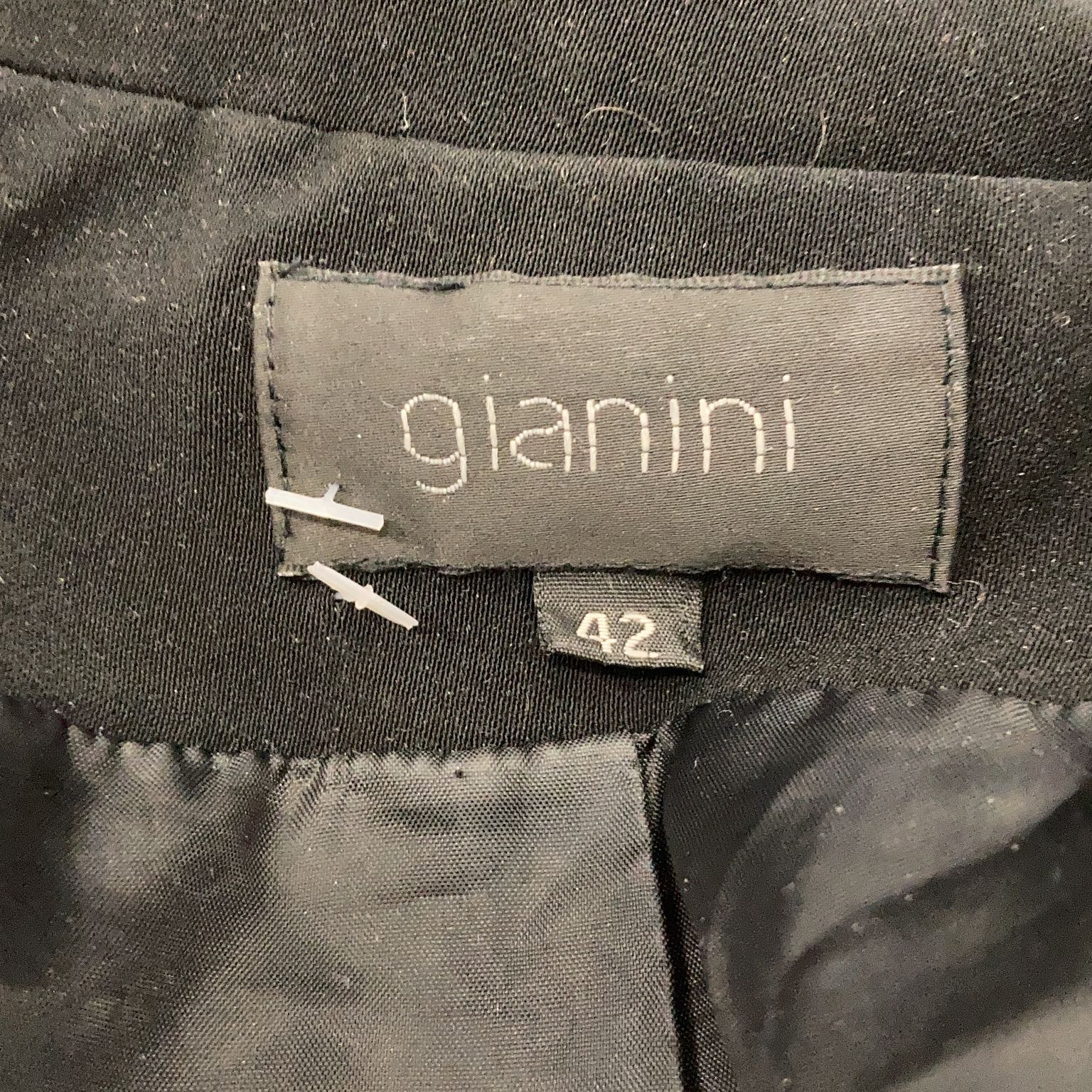 Gianini