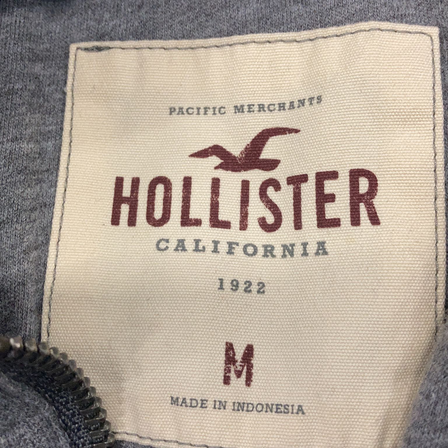 Hollister