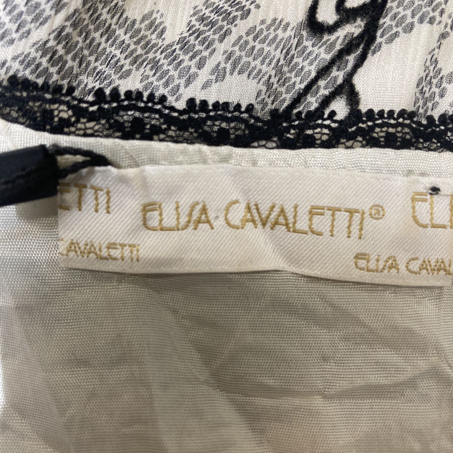 Elisa Cavaletti