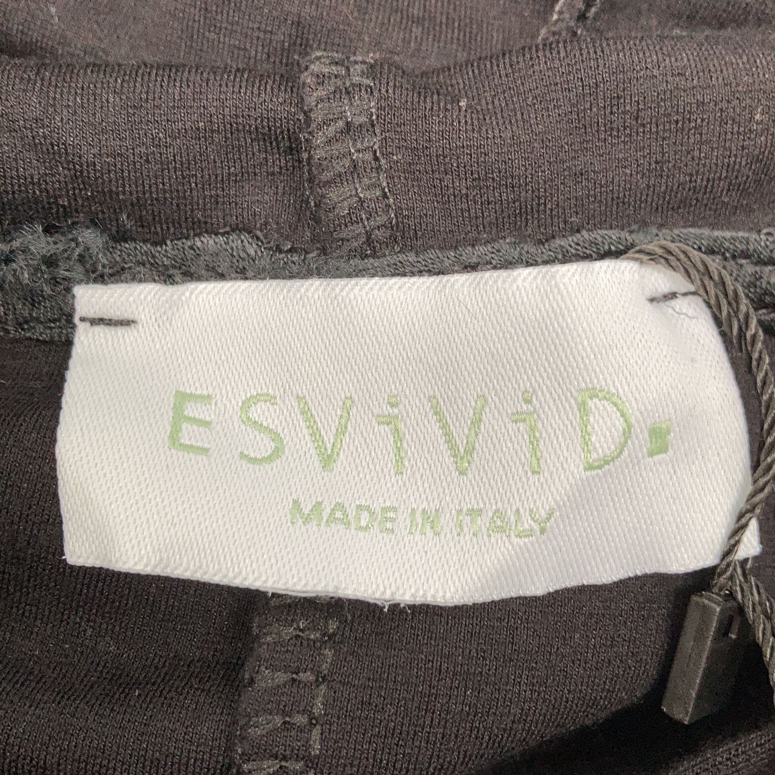 ESViViD