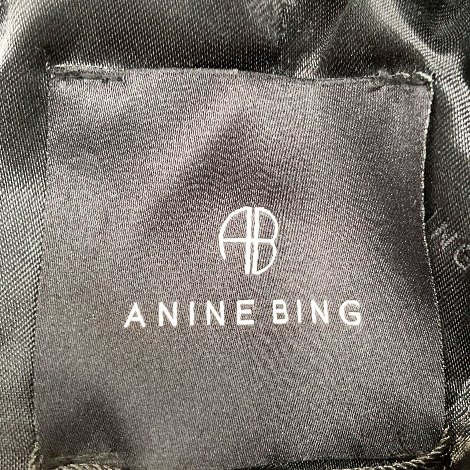 Anine Bing