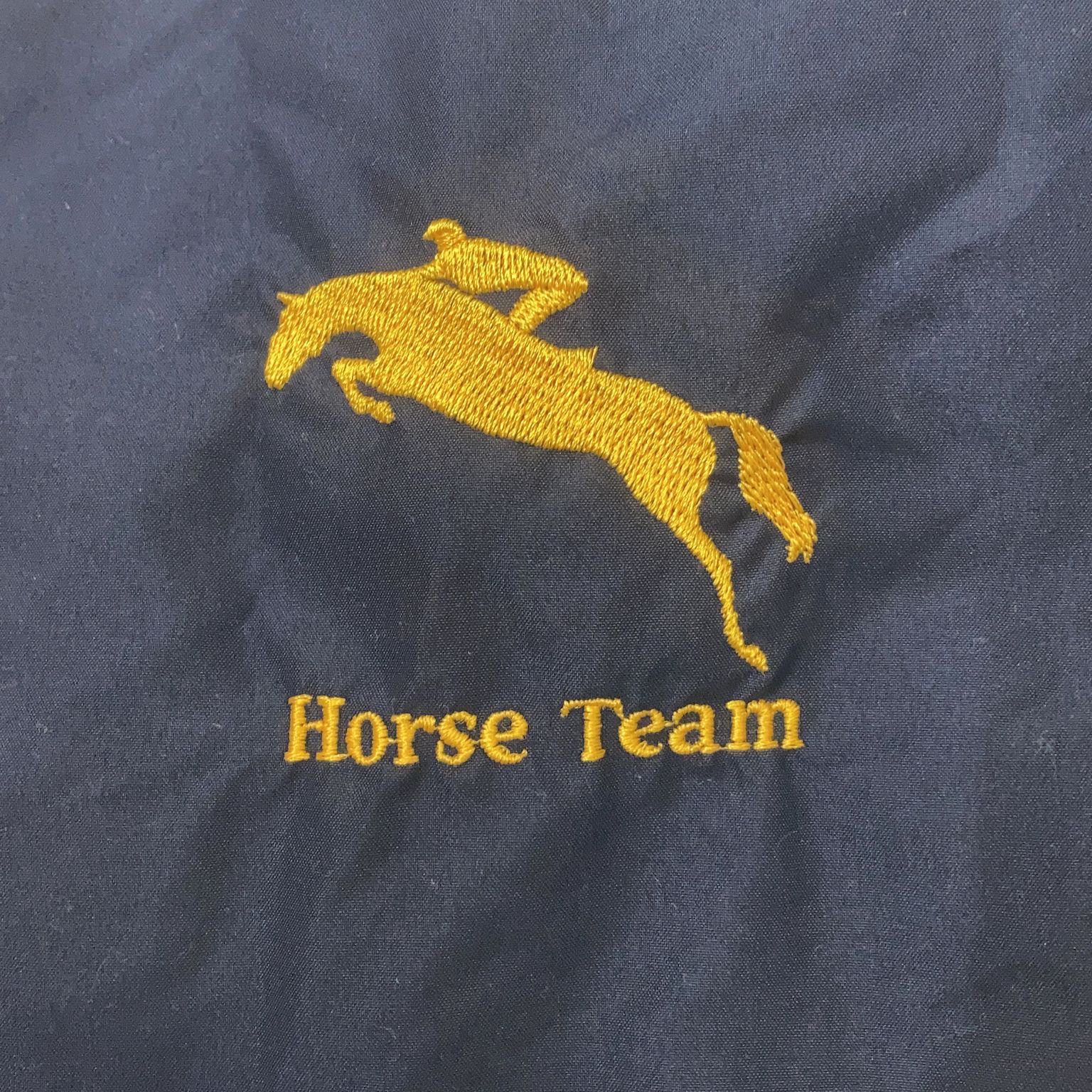 Horse Team