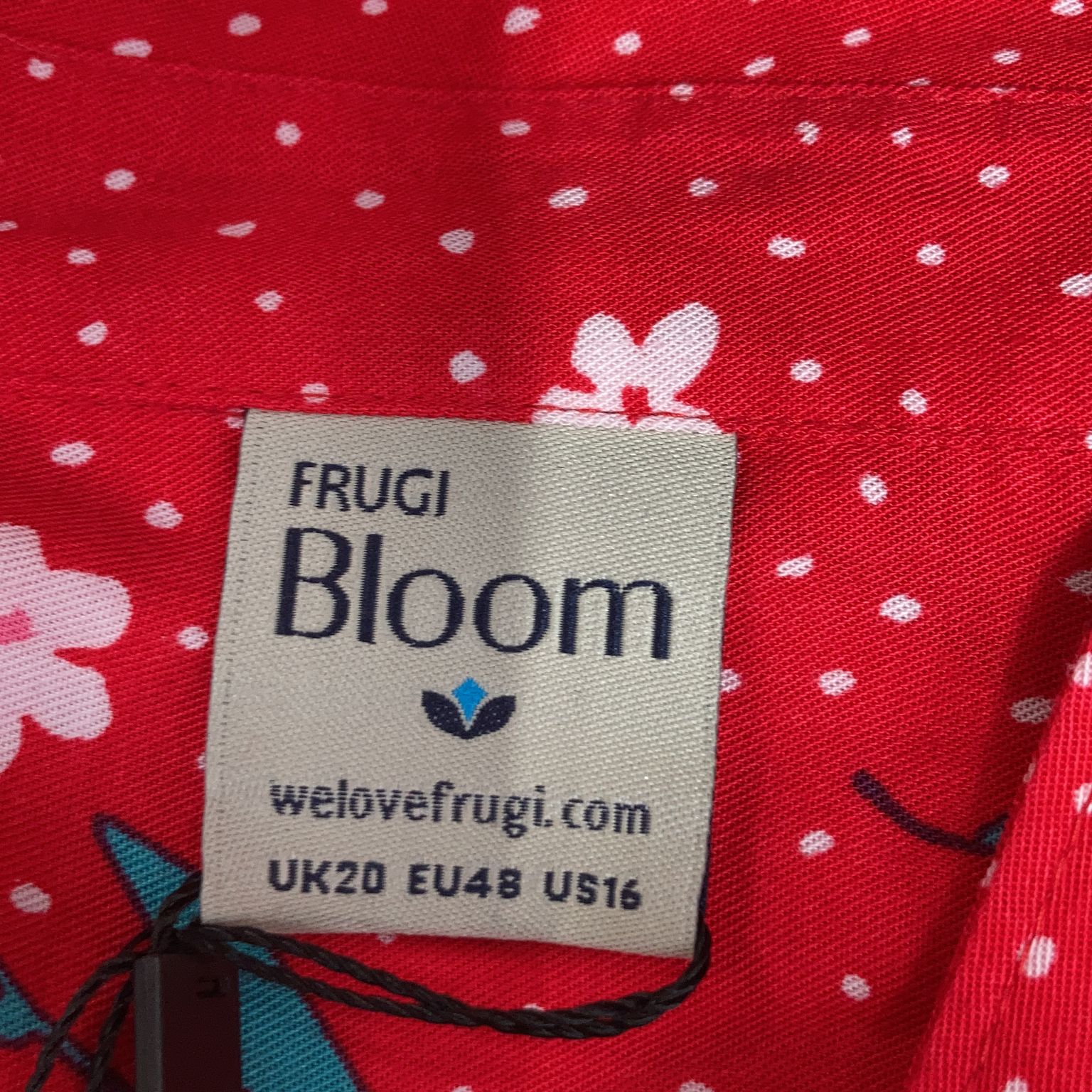 Bloom