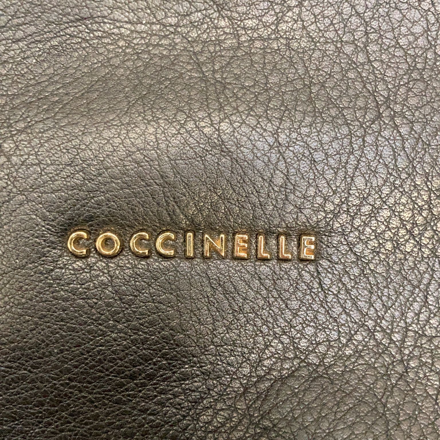 Coccinelle