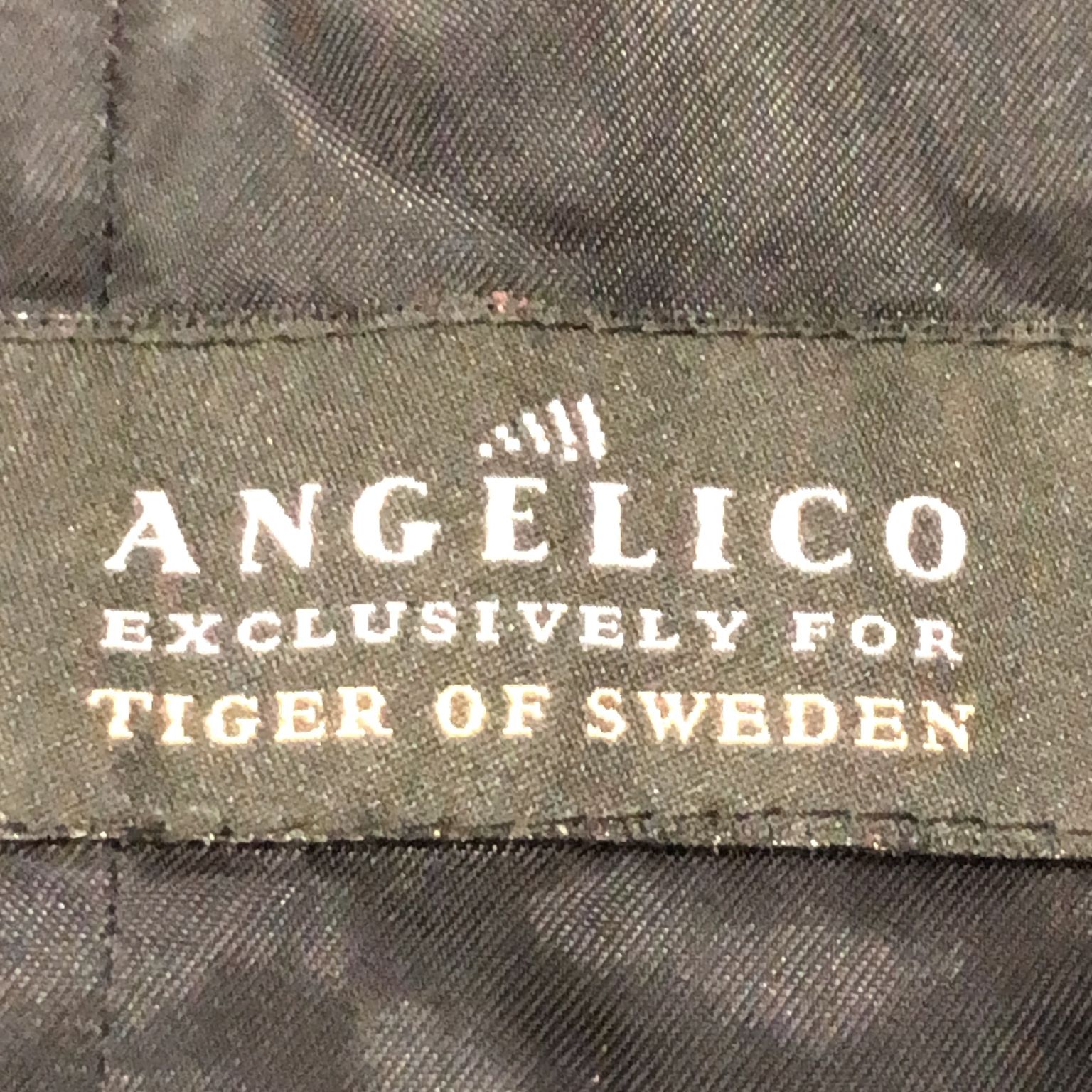 Tiger of Sweden