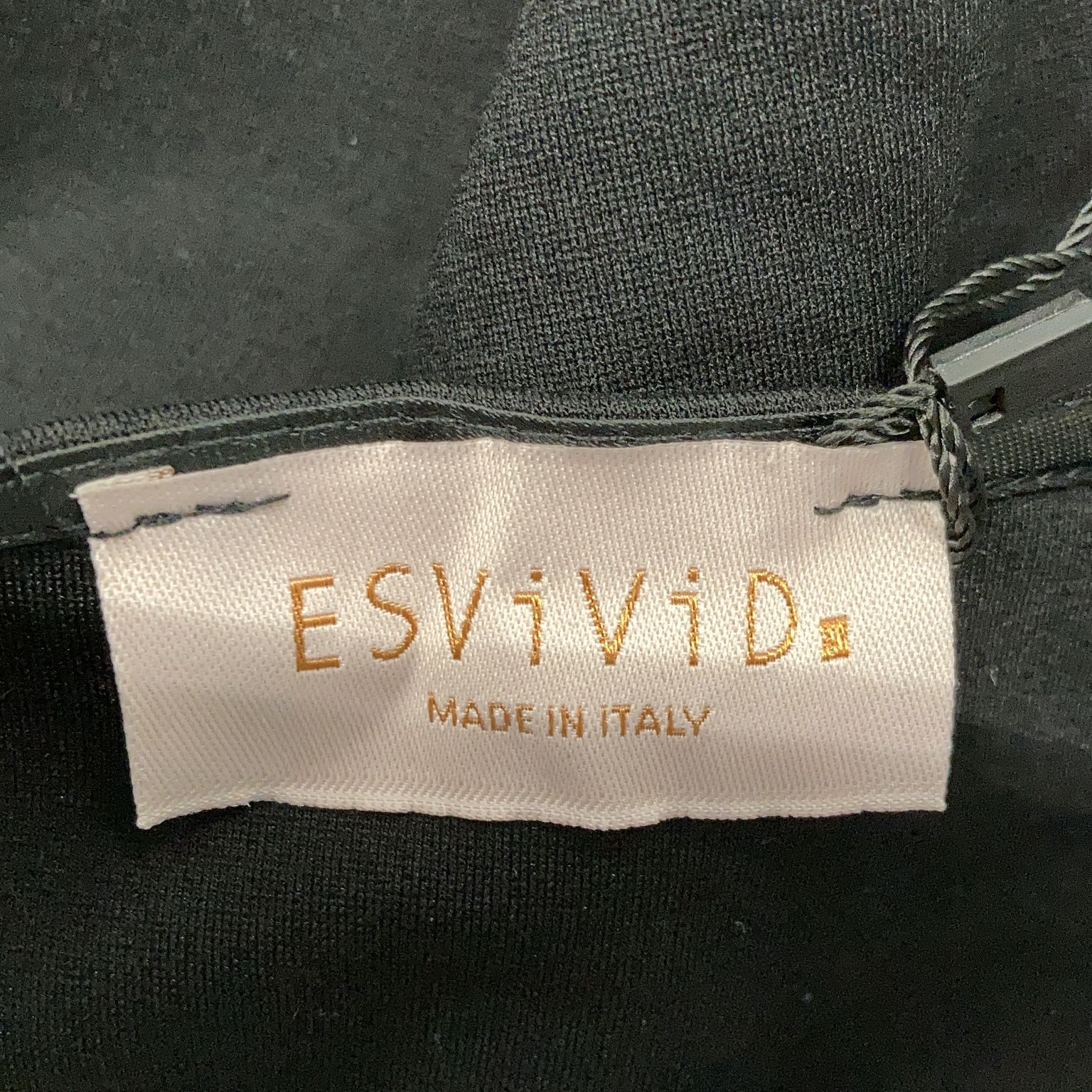 ESViViD