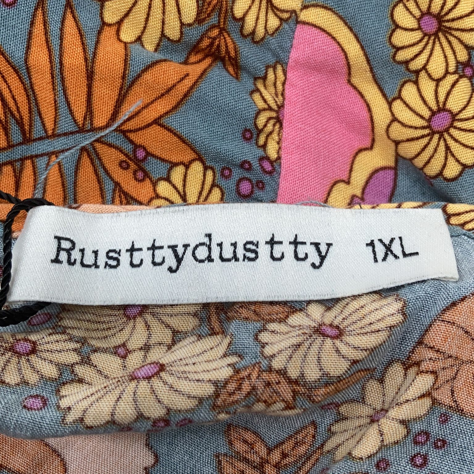 Rusttydustty