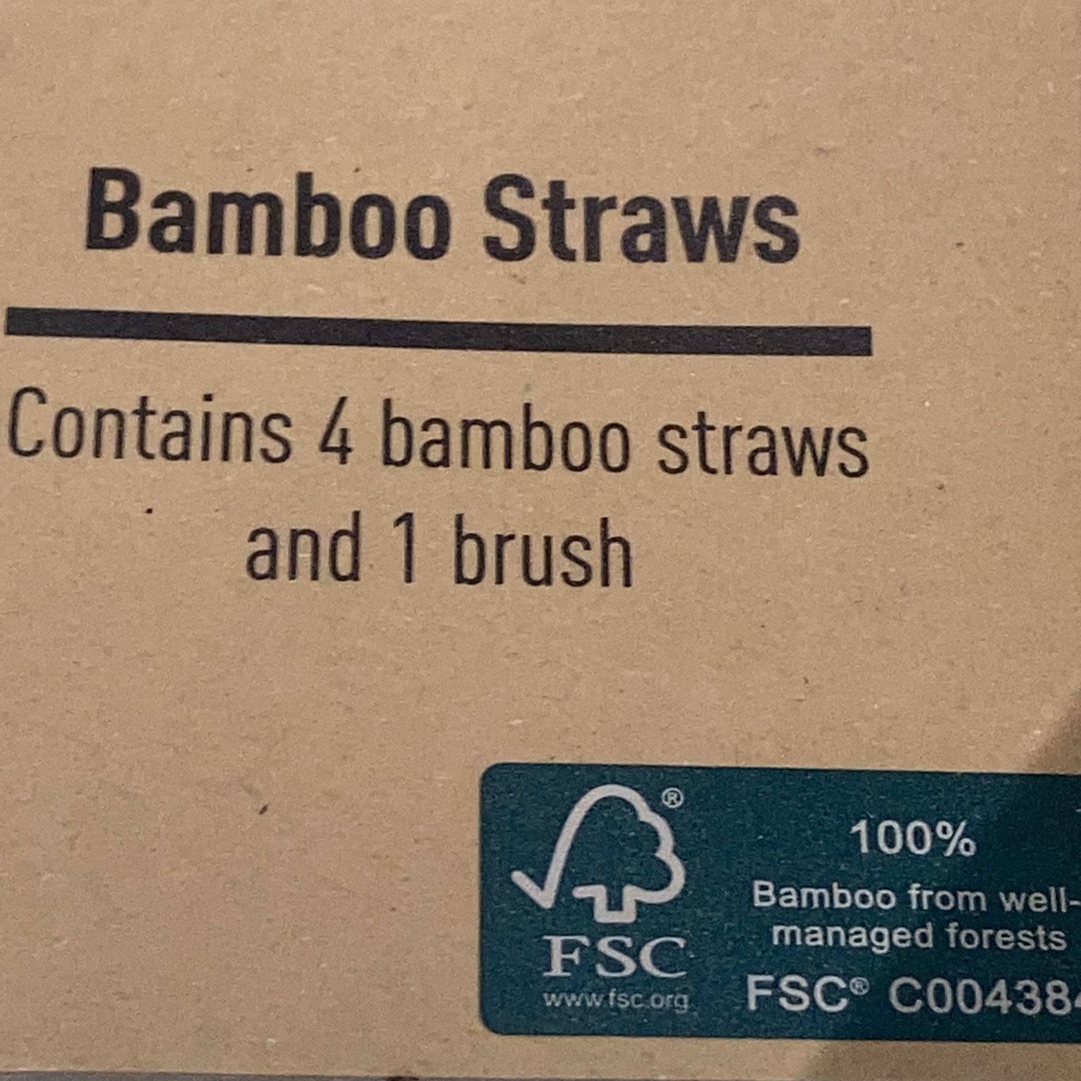 Bamboo