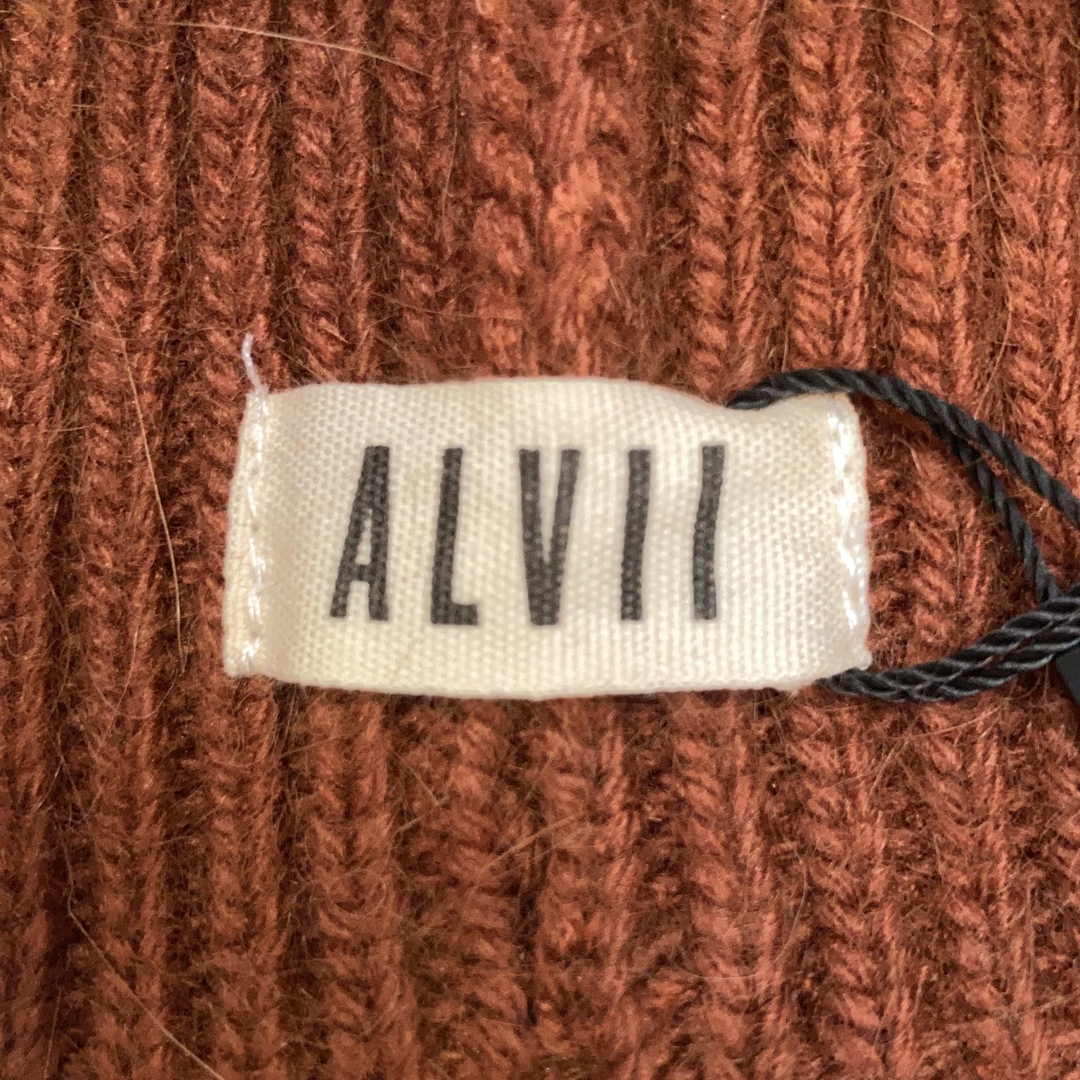 Alvii