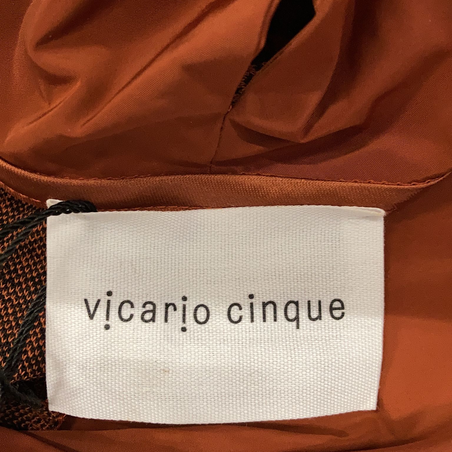 Vicario Cinque