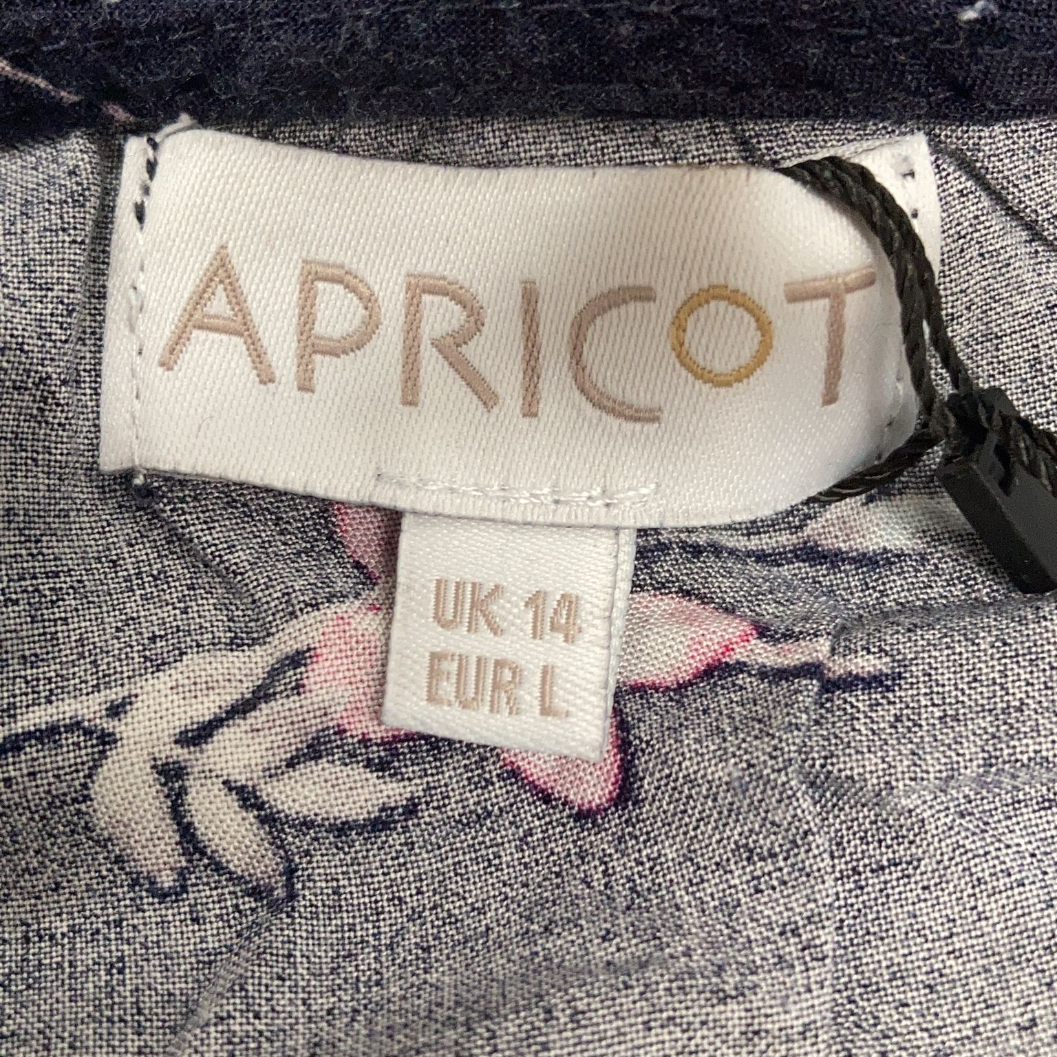 Apricot