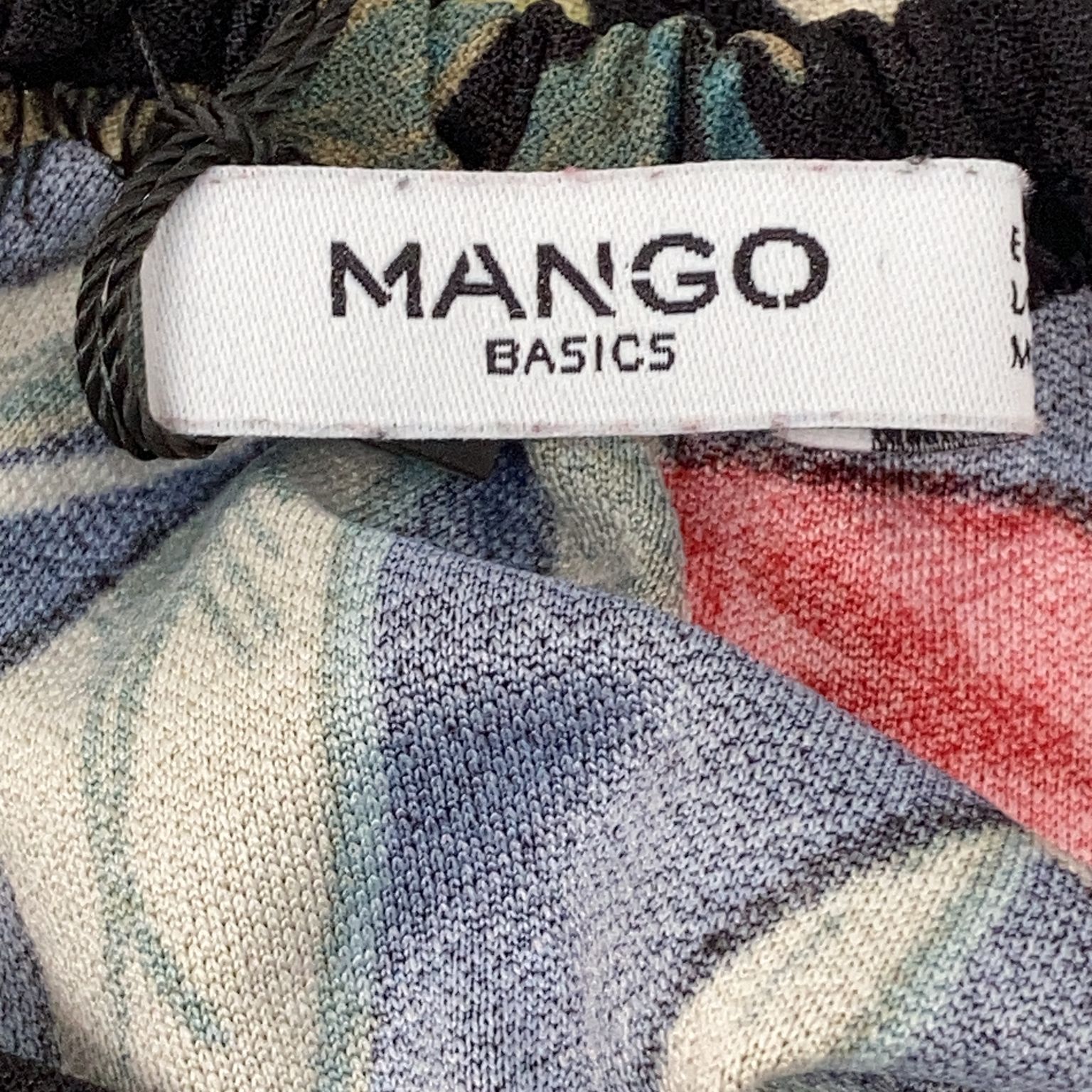 Mango Basics