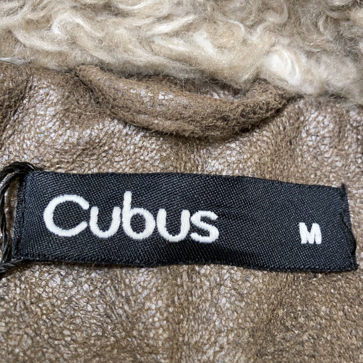 Cubus