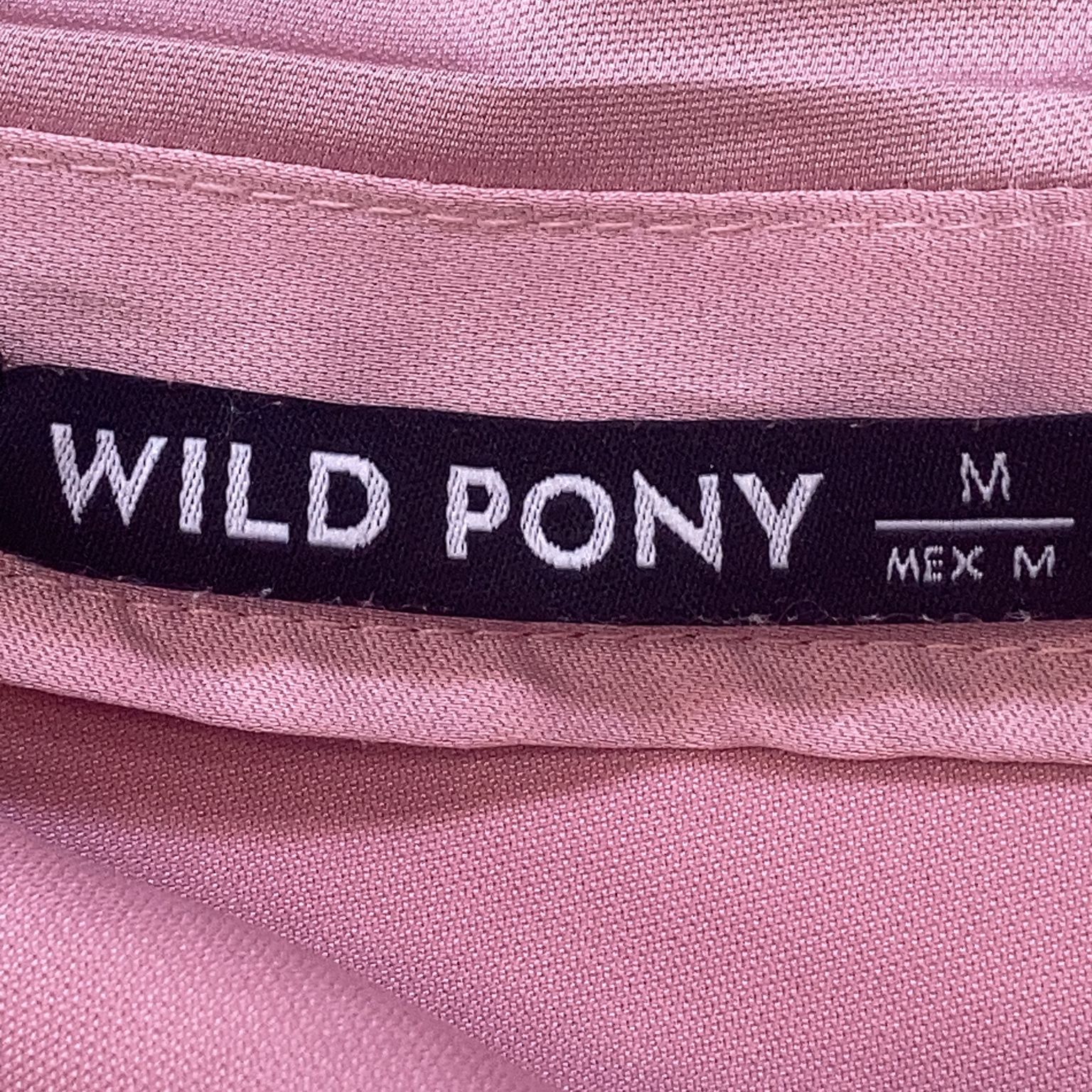 Wild Pony